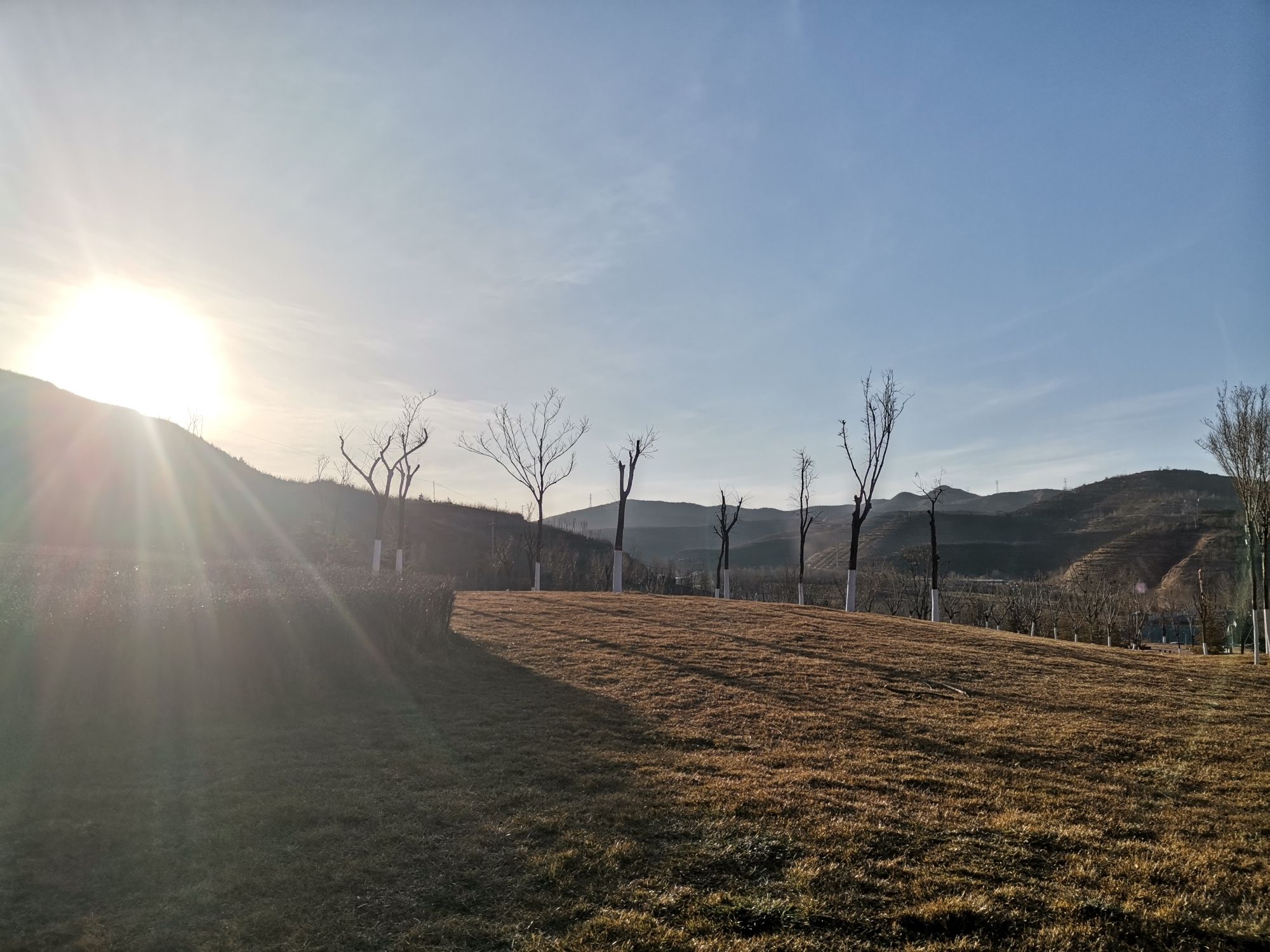 碧山生态公园