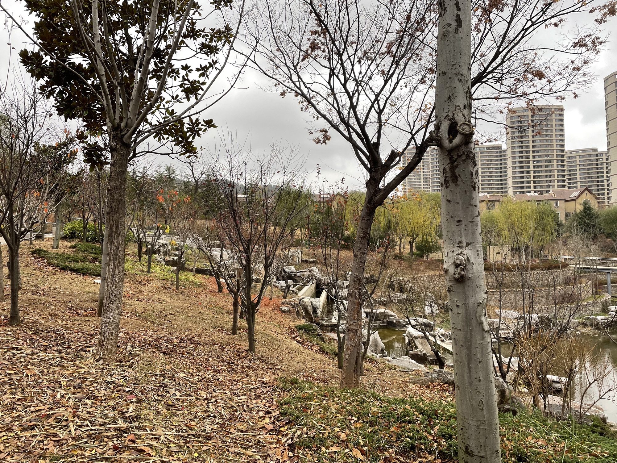 花溪公园旅行图片 2