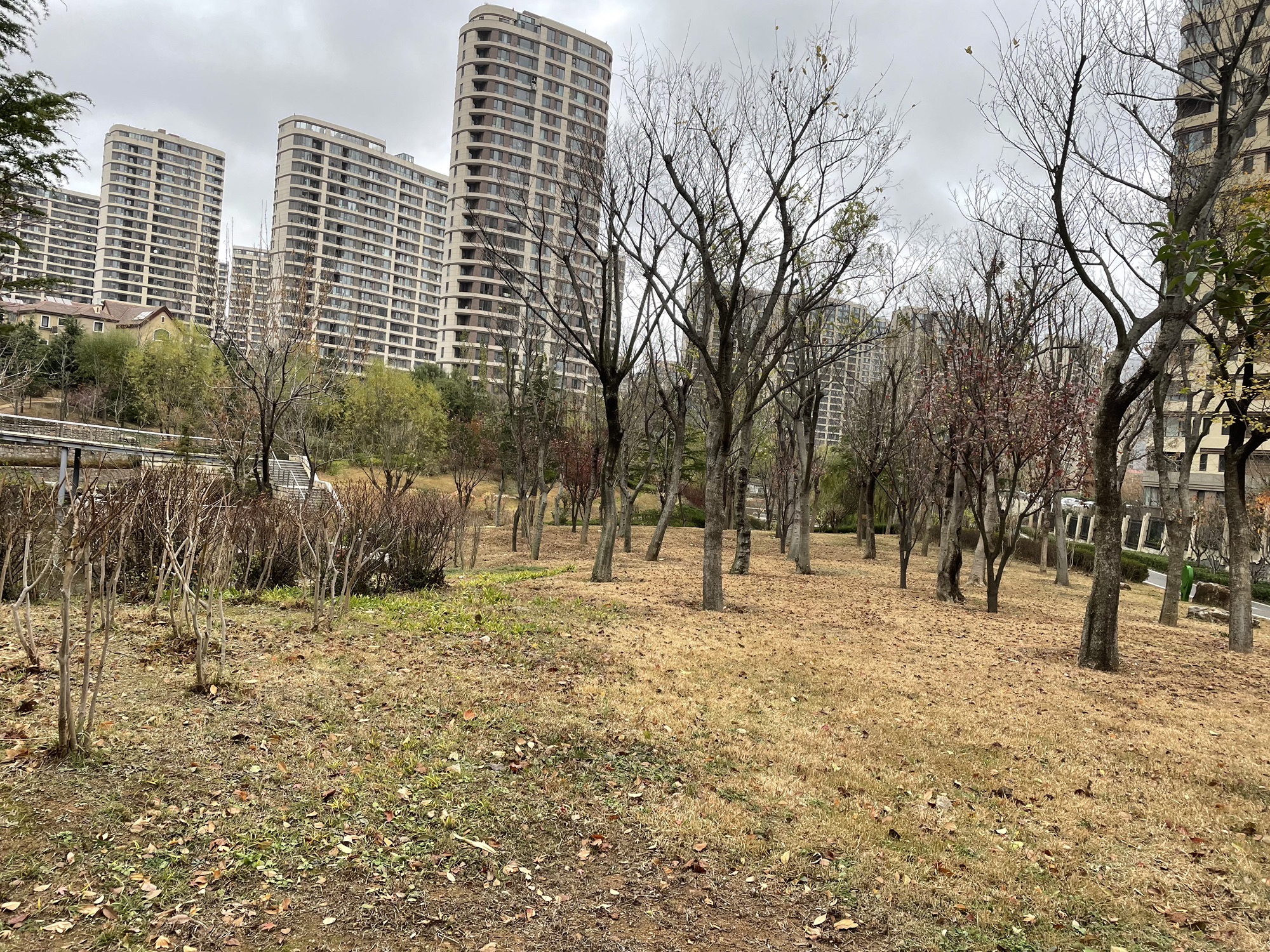 花溪公园旅行图片