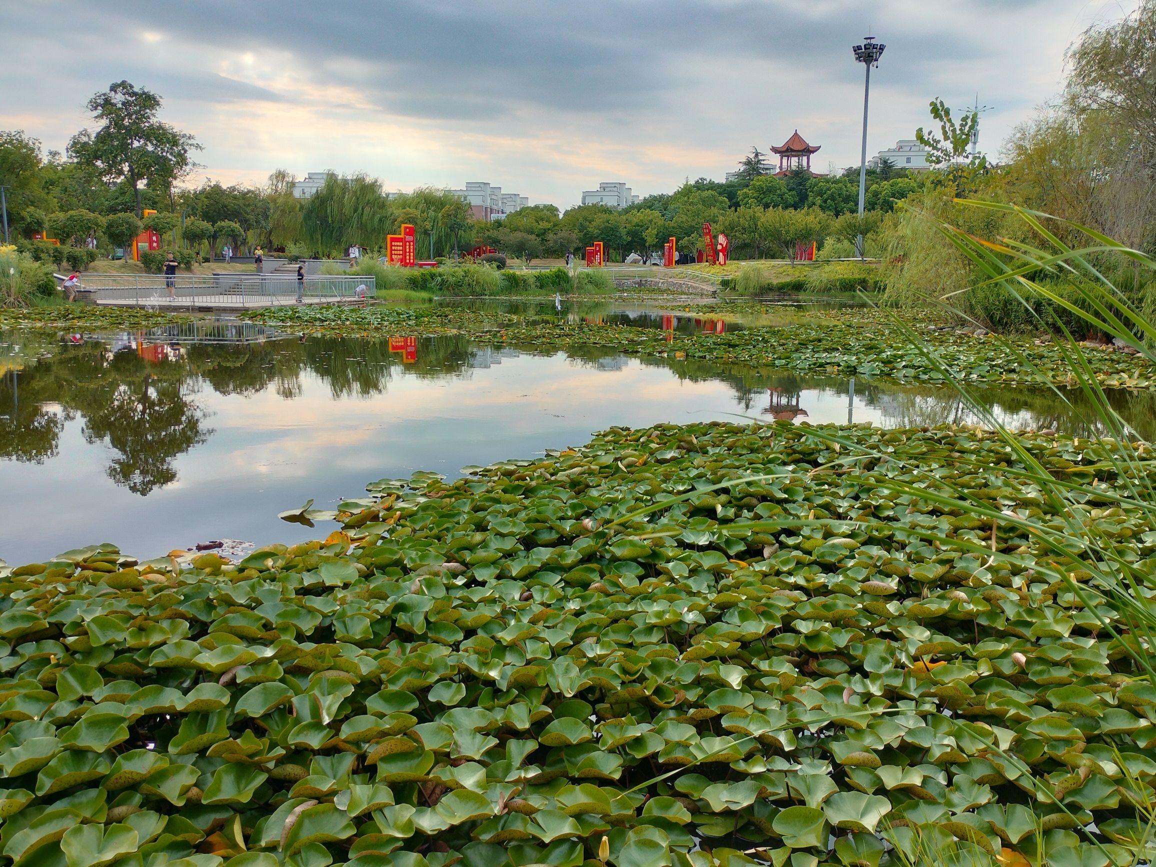 人民公园旅行图片 2