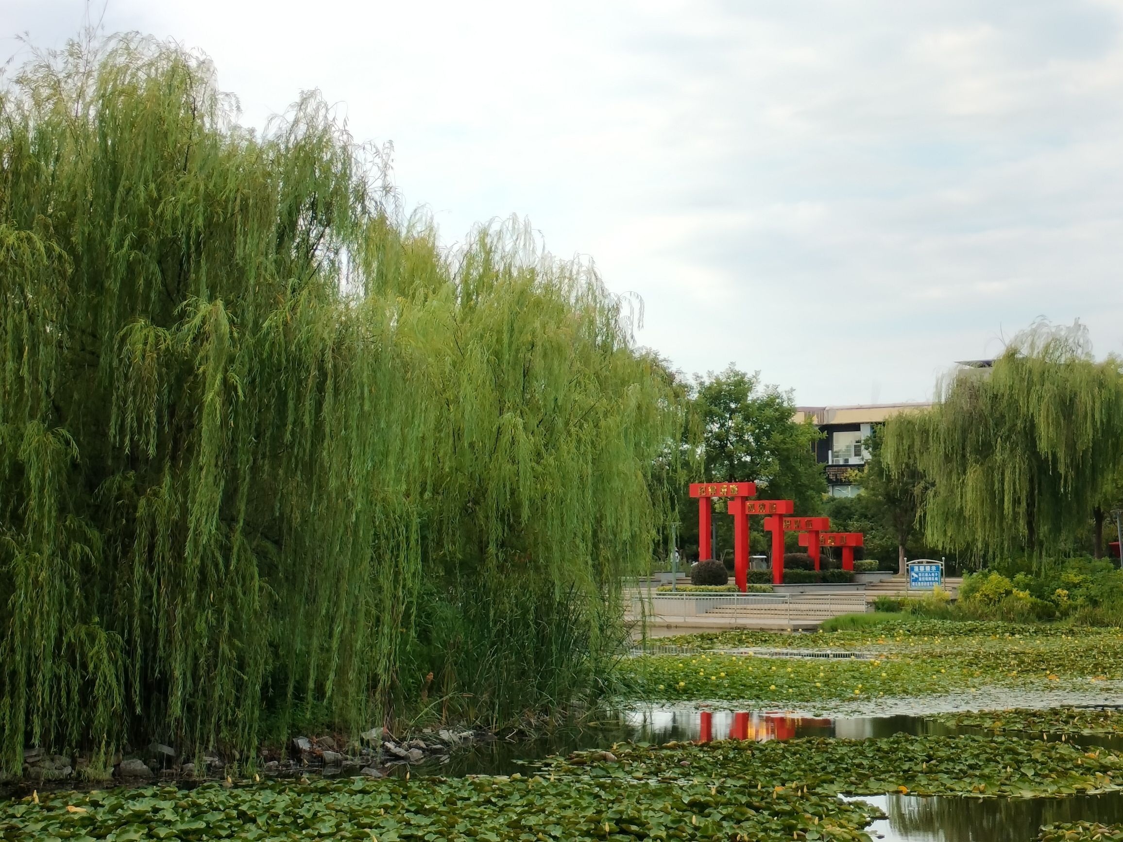 人民公园旅行图片 3