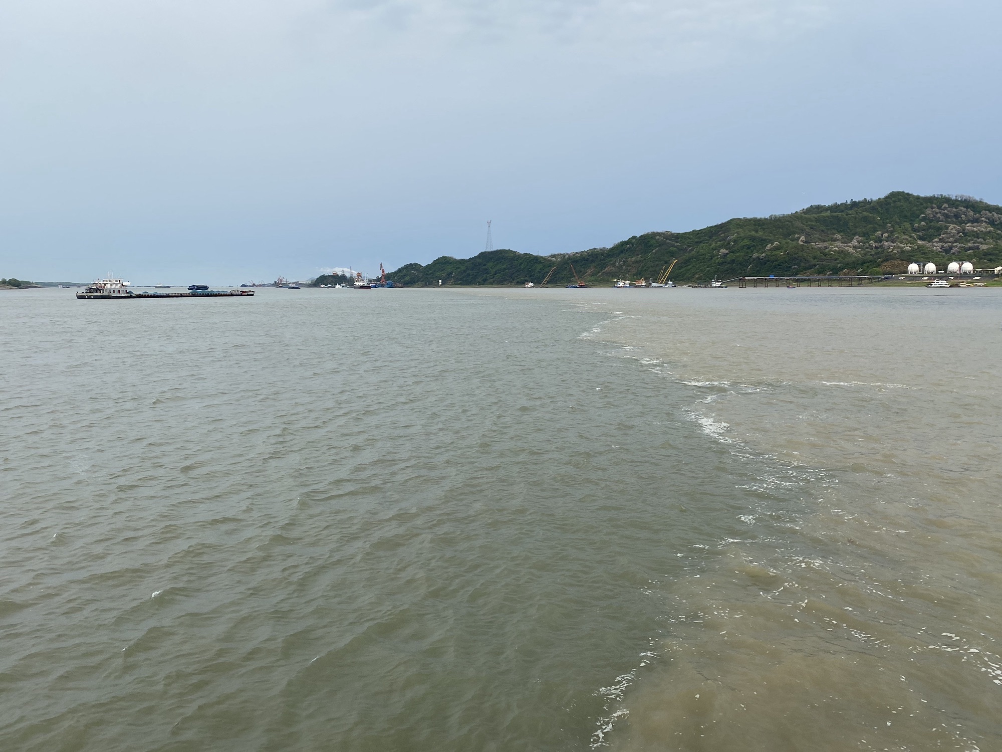 江豚观景台旅行图片 2