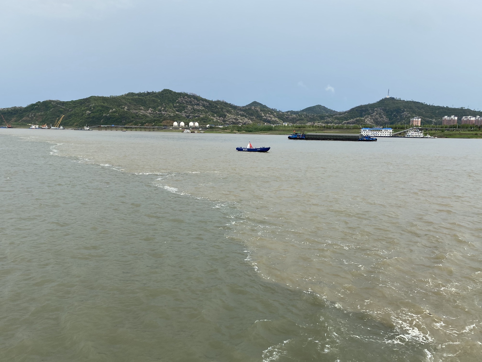 江豚观景台旅行图片 1