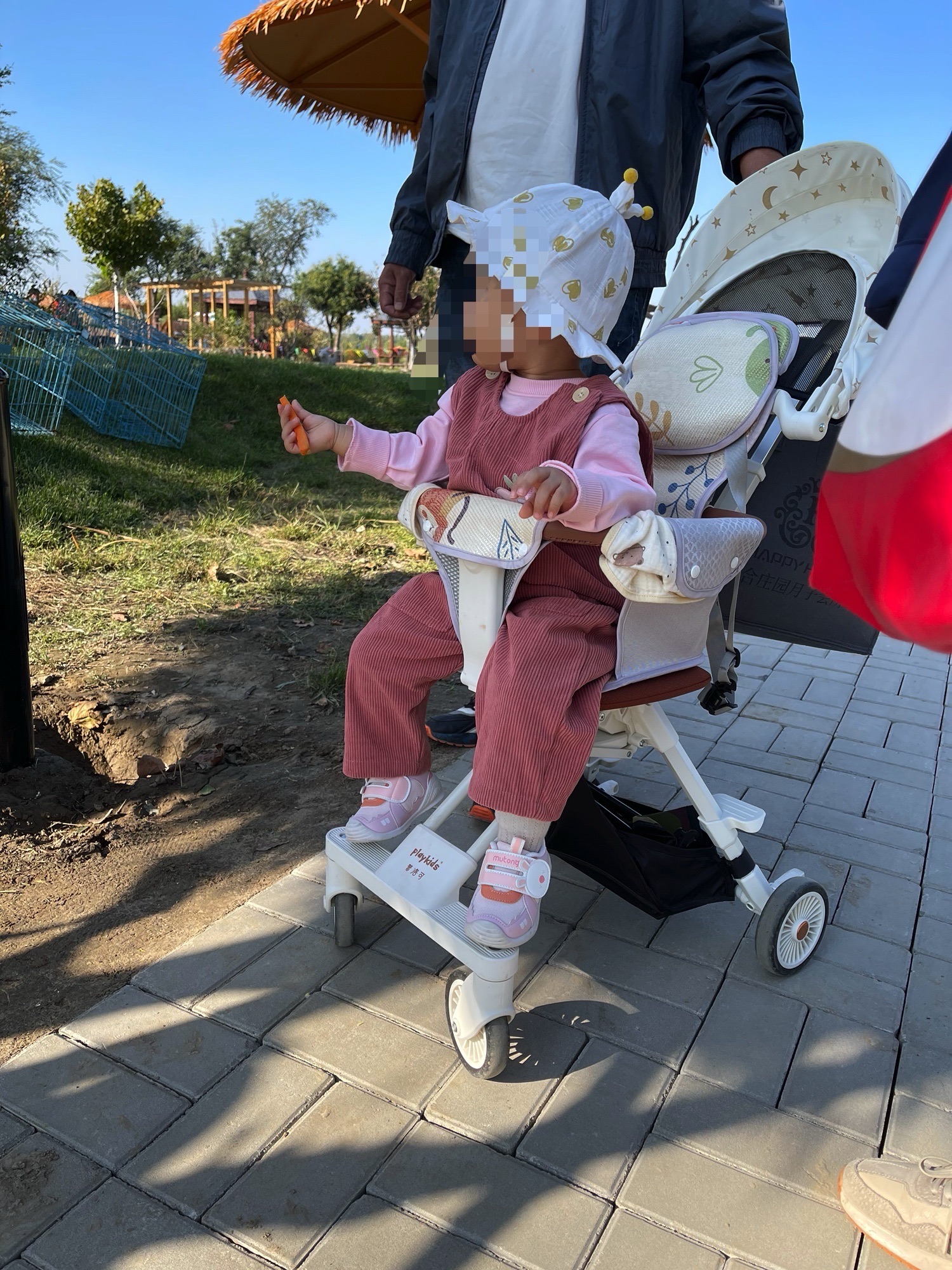 曙光水镇旅行图片 3