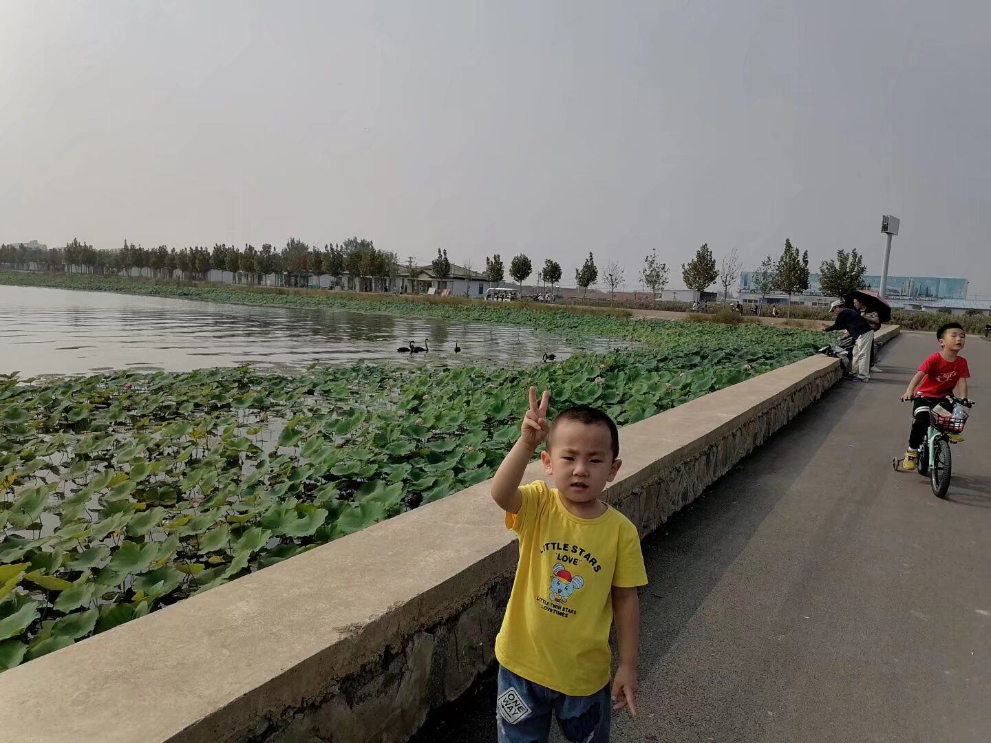 曙光水镇旅行图片 2