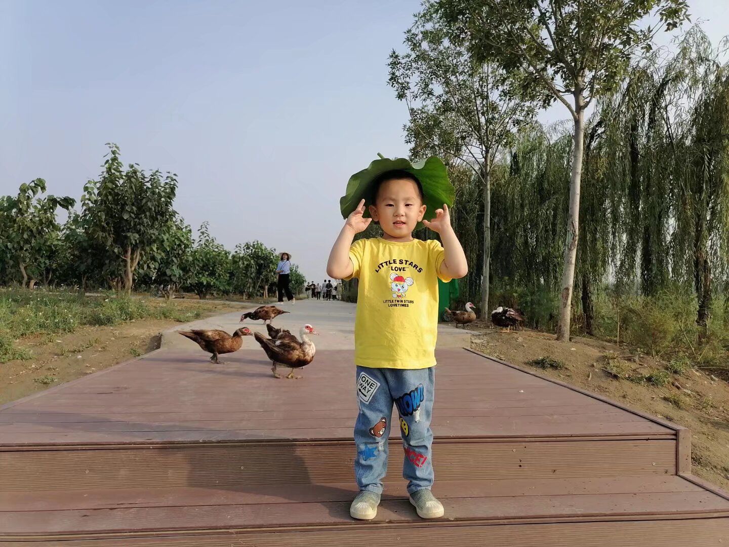 曙光水镇旅行图片 3