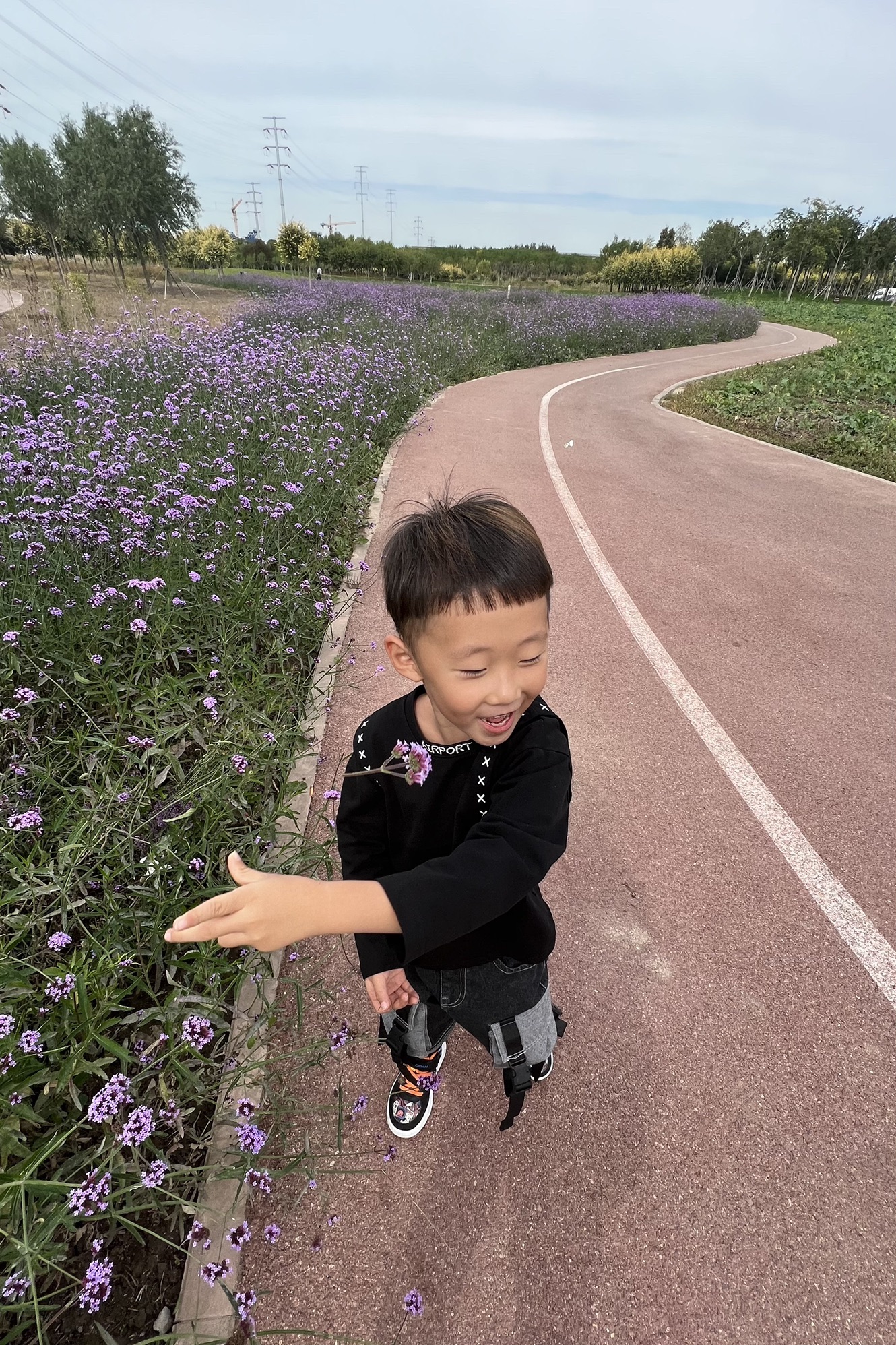 空港七彩花田旅行图片 3