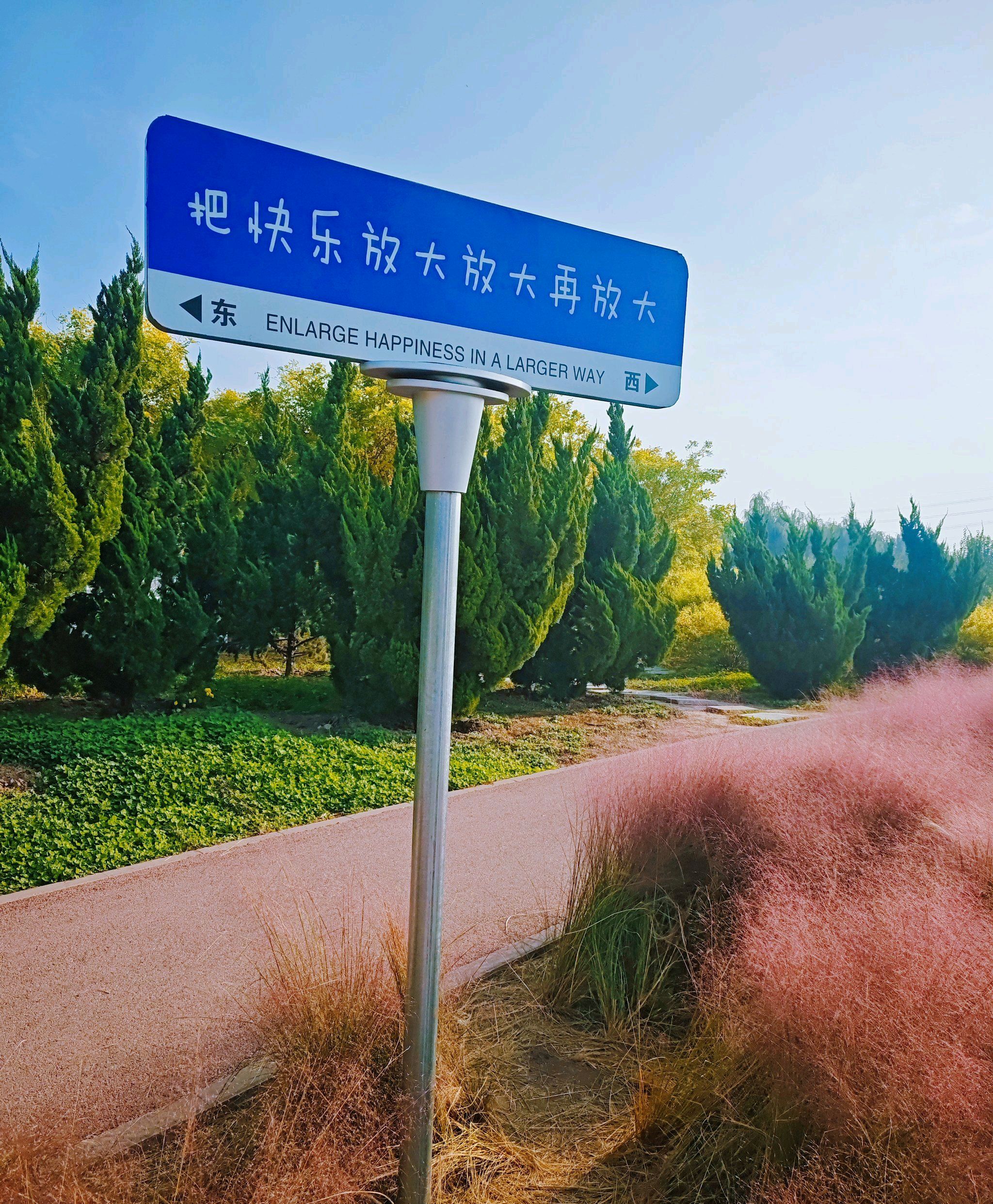 空港七彩花田旅行图片 1