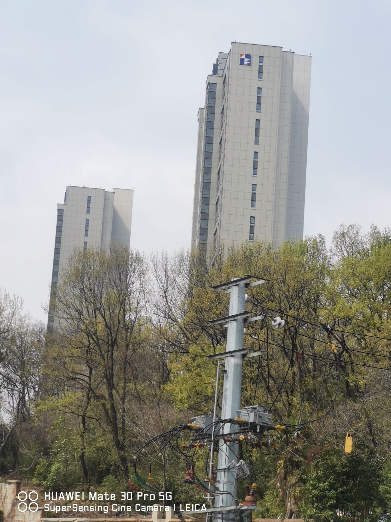 新亭公园旅行图片 1