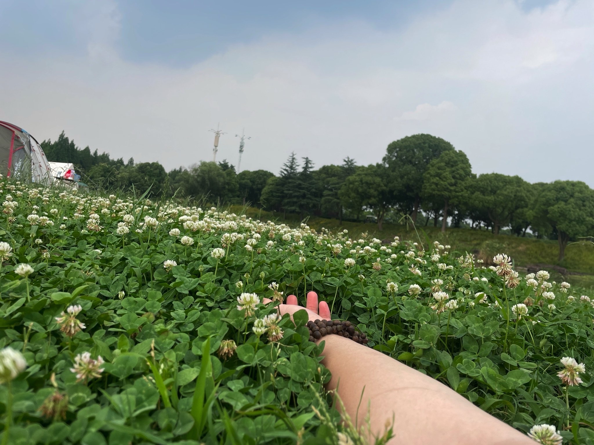 国宾路大草坪旅行图片 1