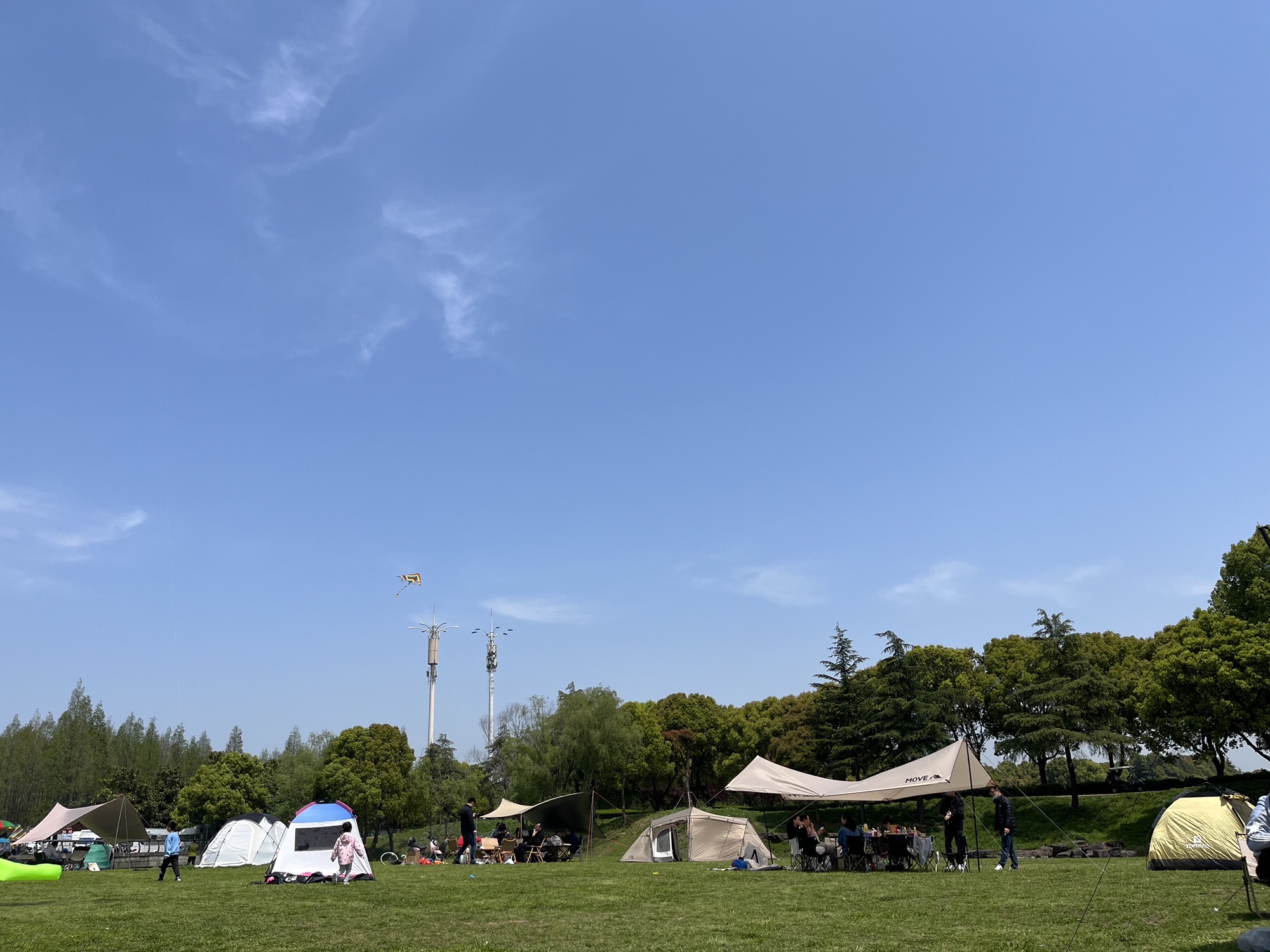 国宾路大草坪旅行图片 2