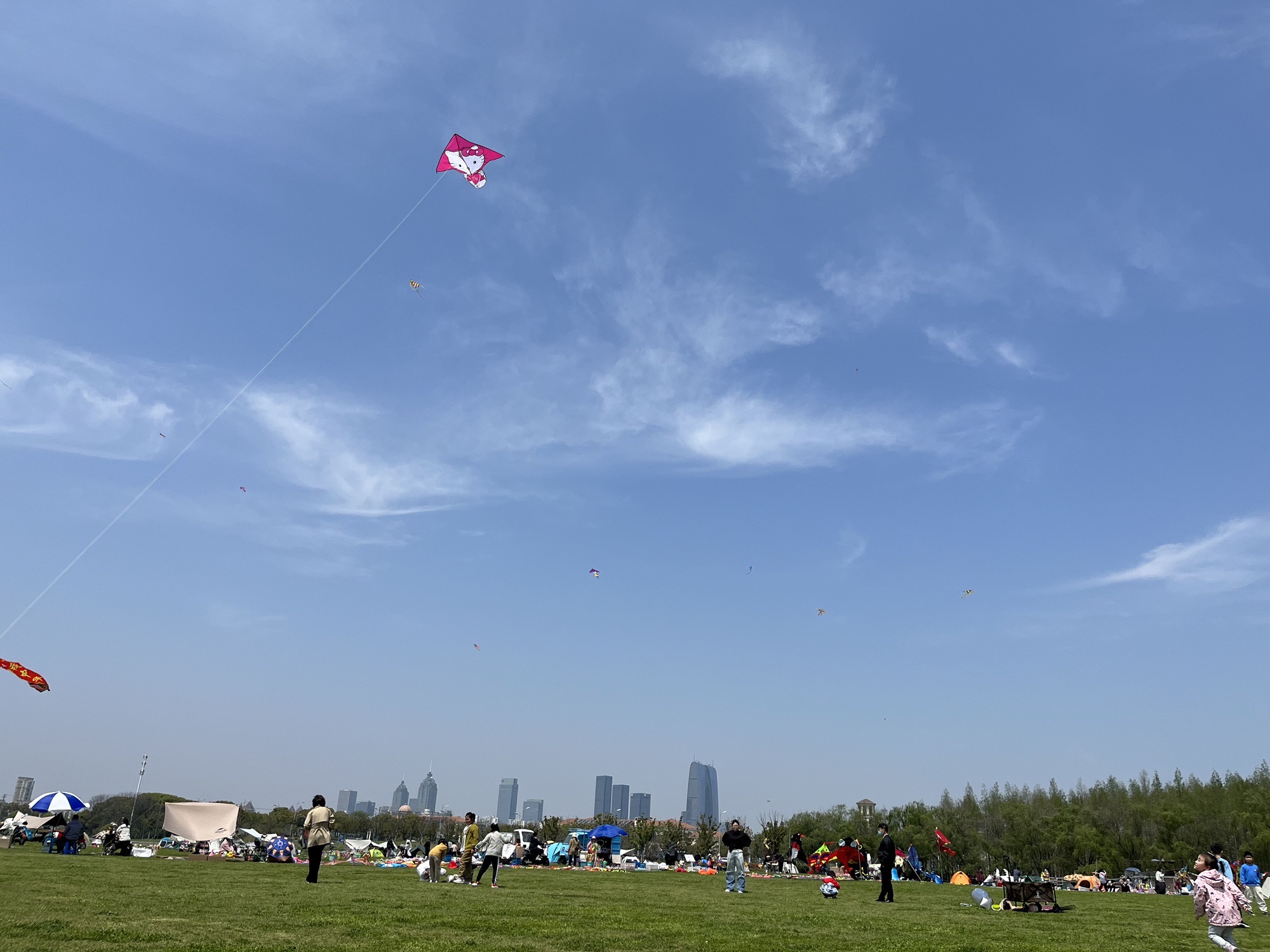 国宾路大草坪旅行图片 3