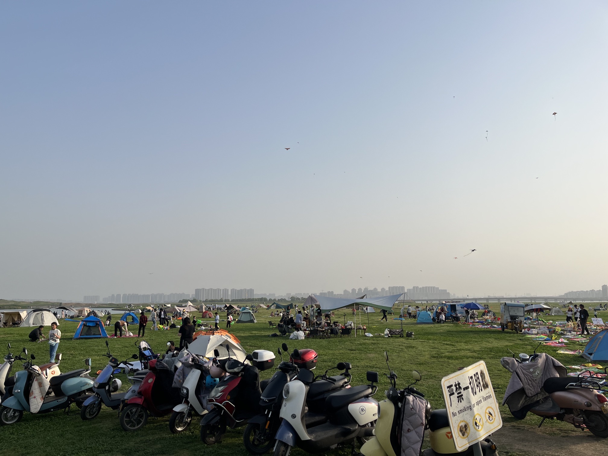 国宾路大草坪旅行图片 1