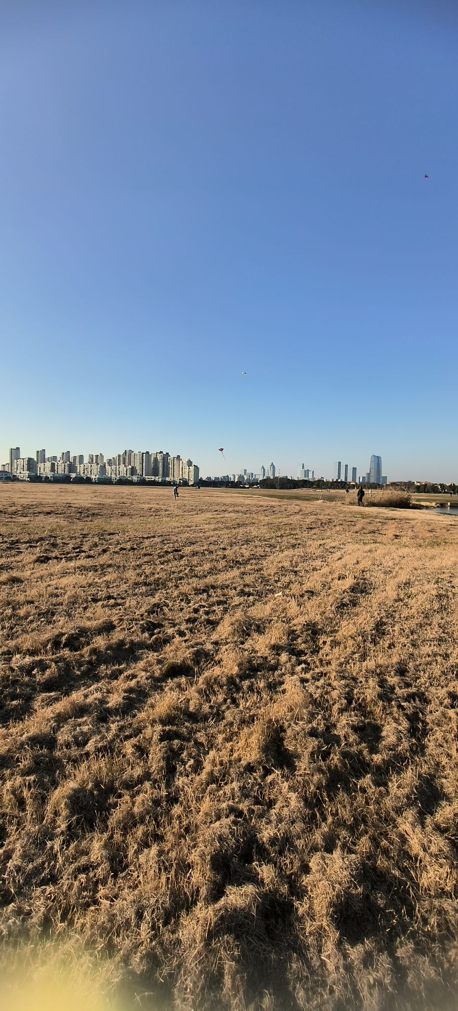 国宾路大草坪旅行图片 3