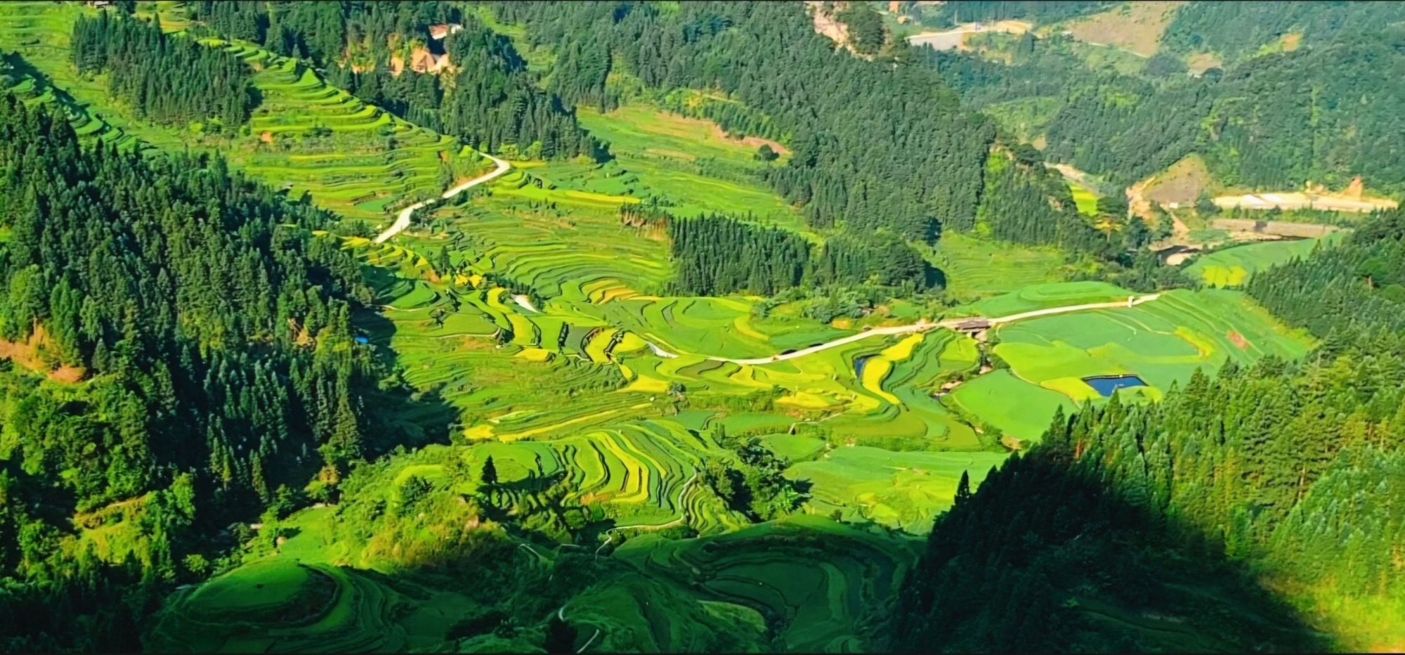 元宝梯田观景平台旅行图片 1
