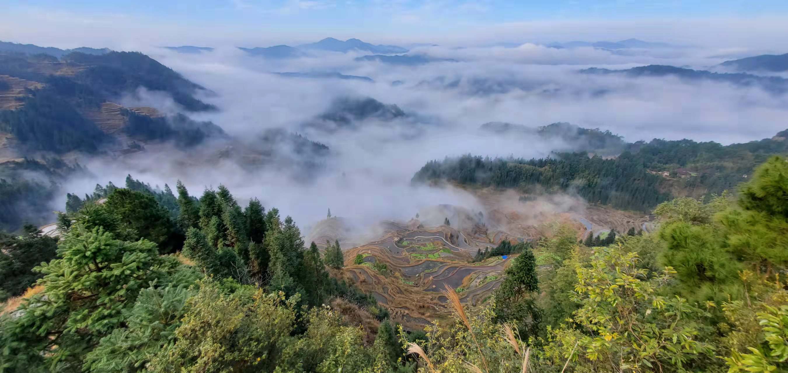 元宝梯田观景平台旅行图片 1