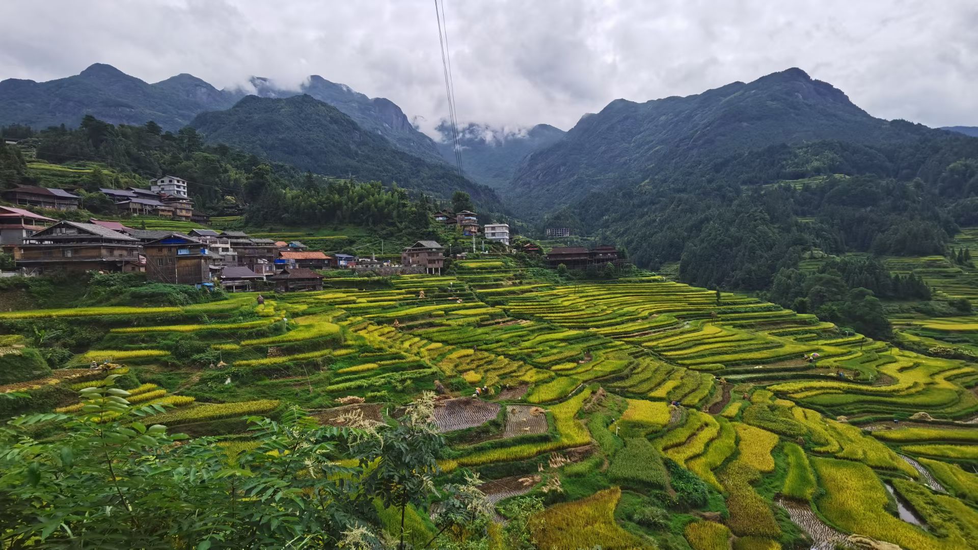 元宝梯田观景平台旅行图片 2