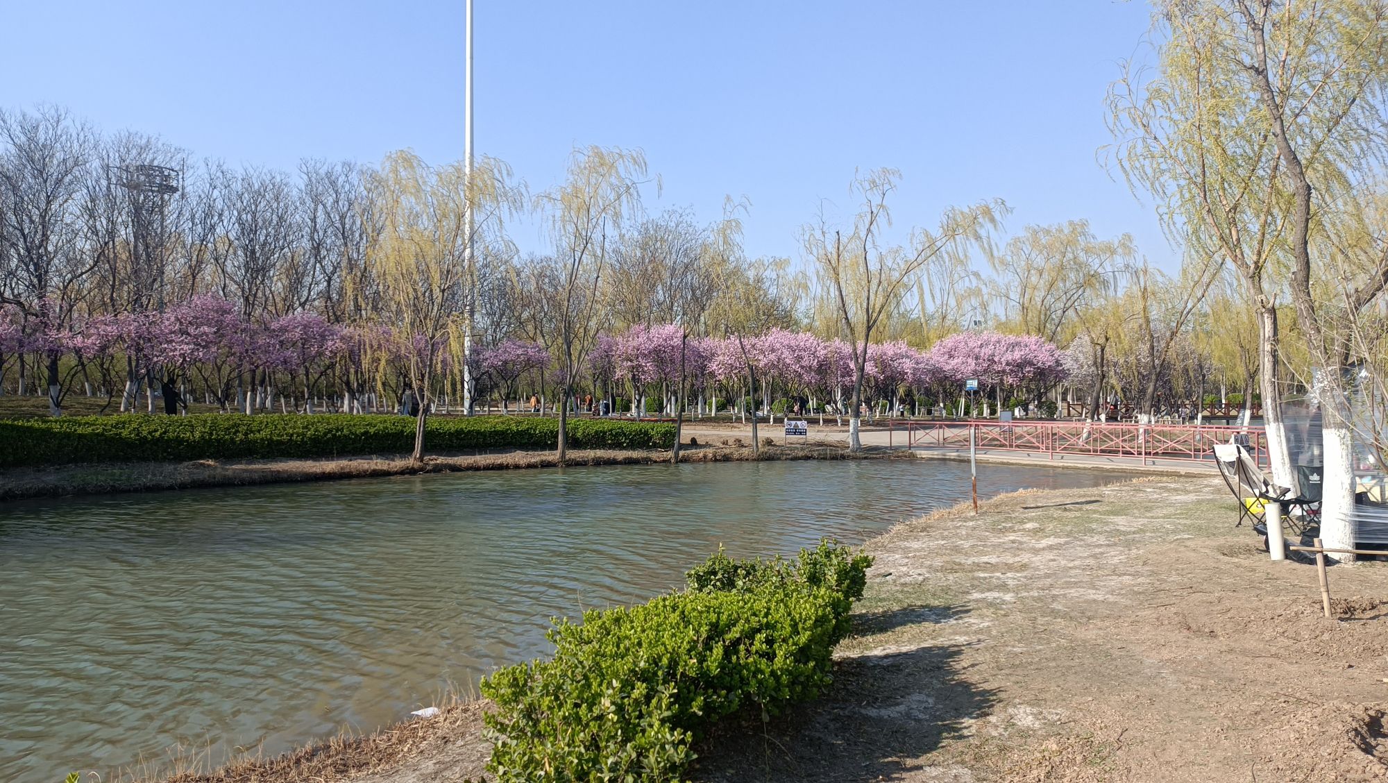 静海森林公园旅行图片 2
