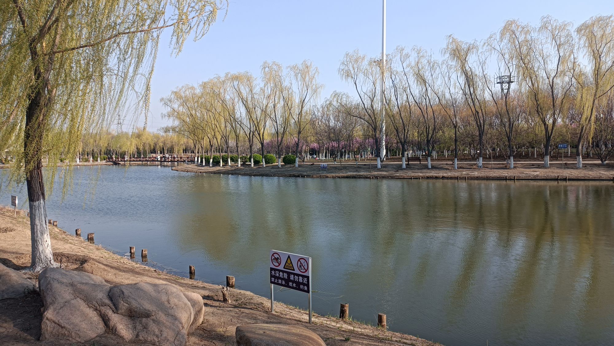 静海森林公园旅行图片 3