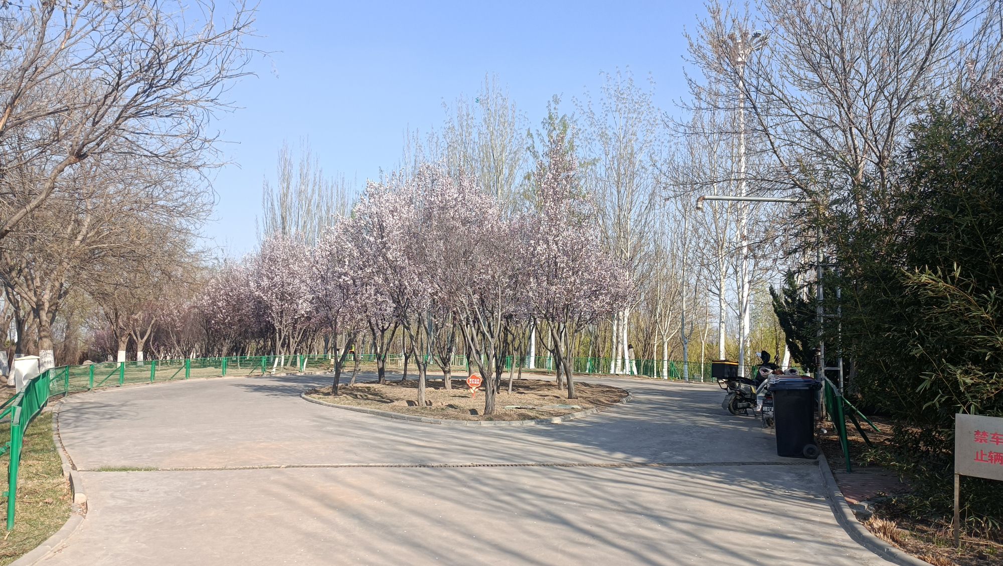 静海森林公园旅行图片 1