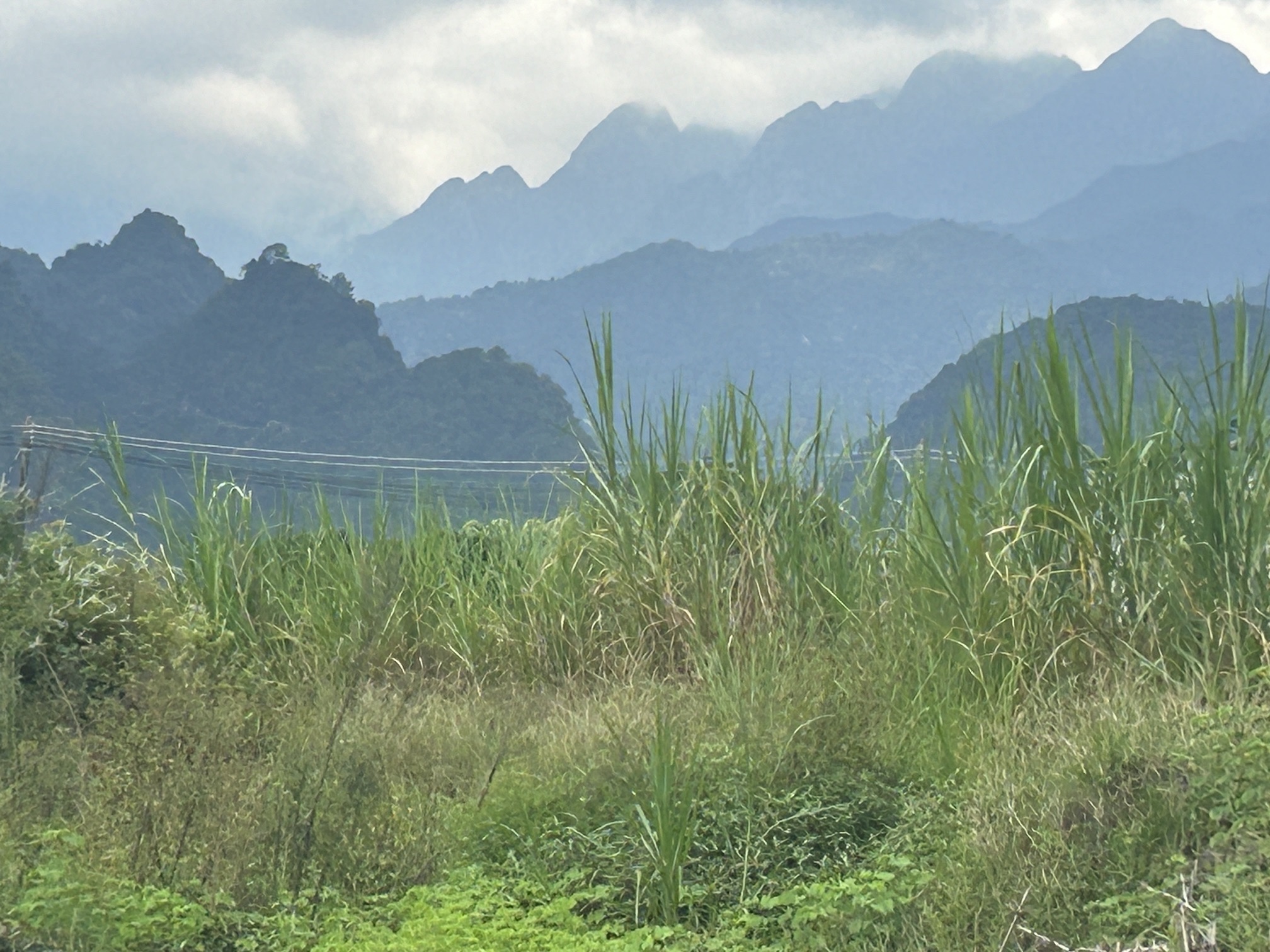 罗坑大草原钓鱼场