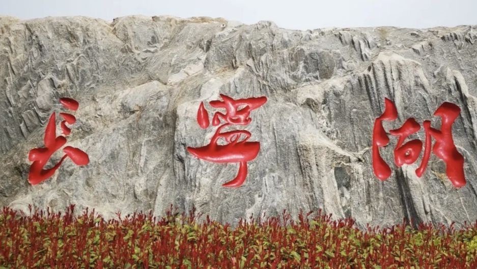 金乡长宁湖湿地公园旅行图片 1
