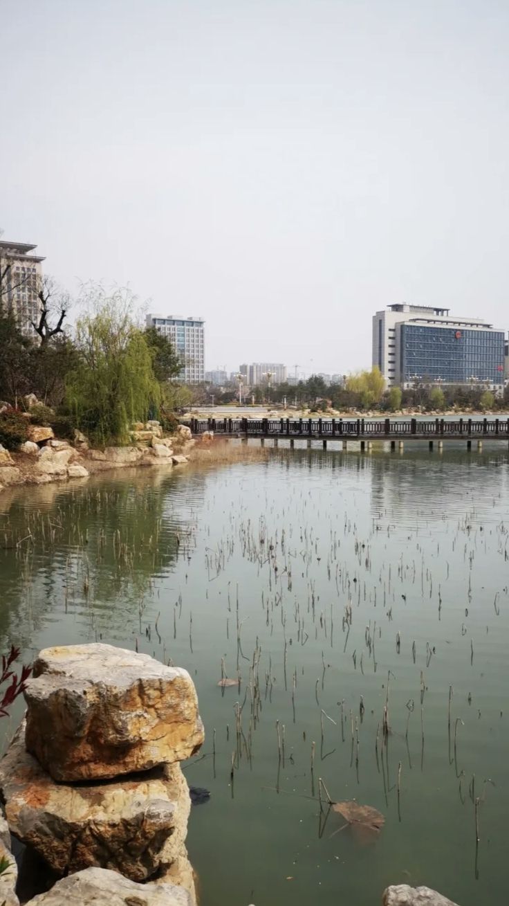 金乡长宁湖湿地公园旅行图片 3