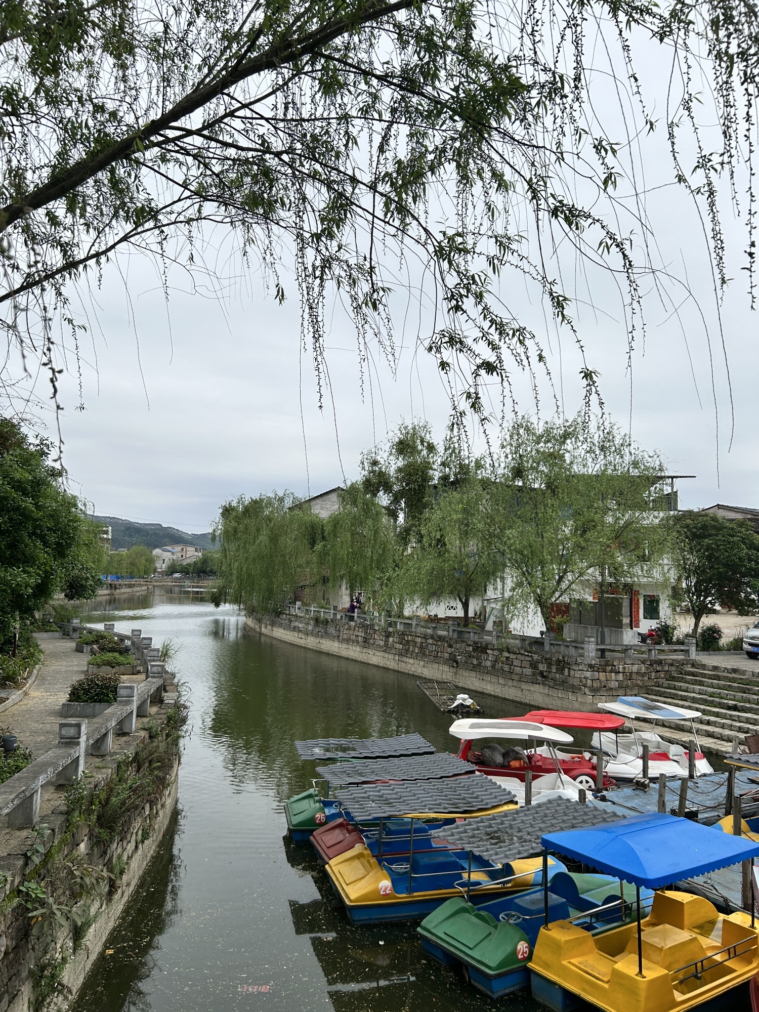 中渡古镇旅行图片 2