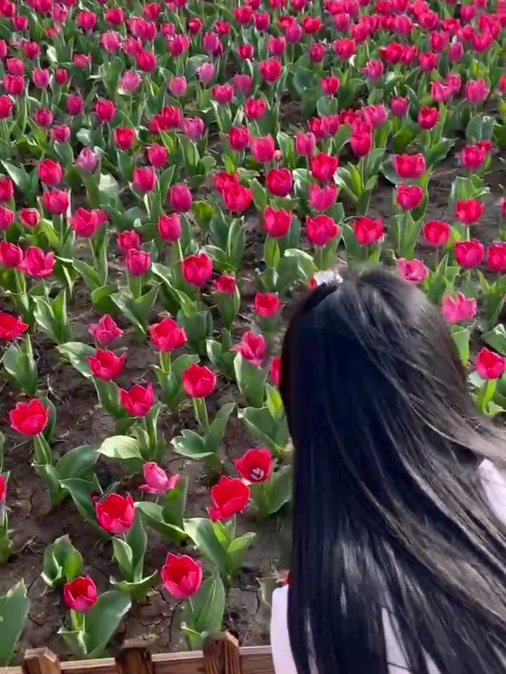华佗百草园旅行图片 1