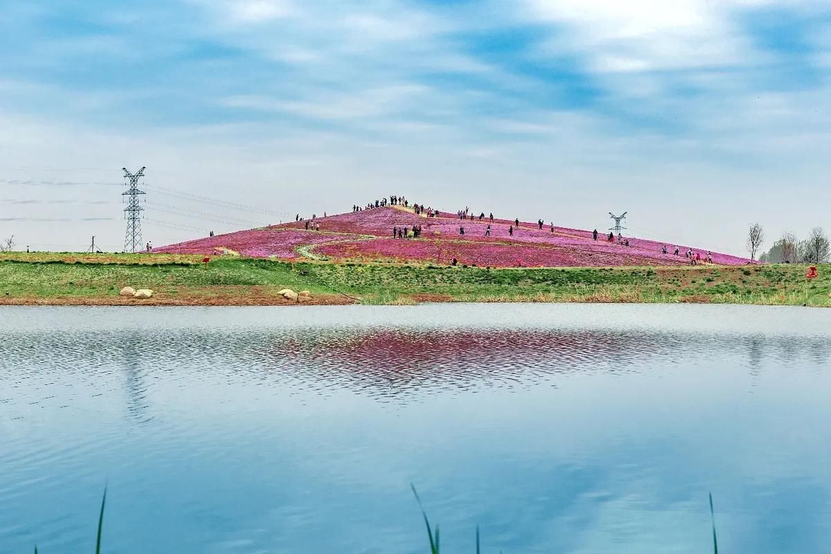 华佗百草园旅行图片 1