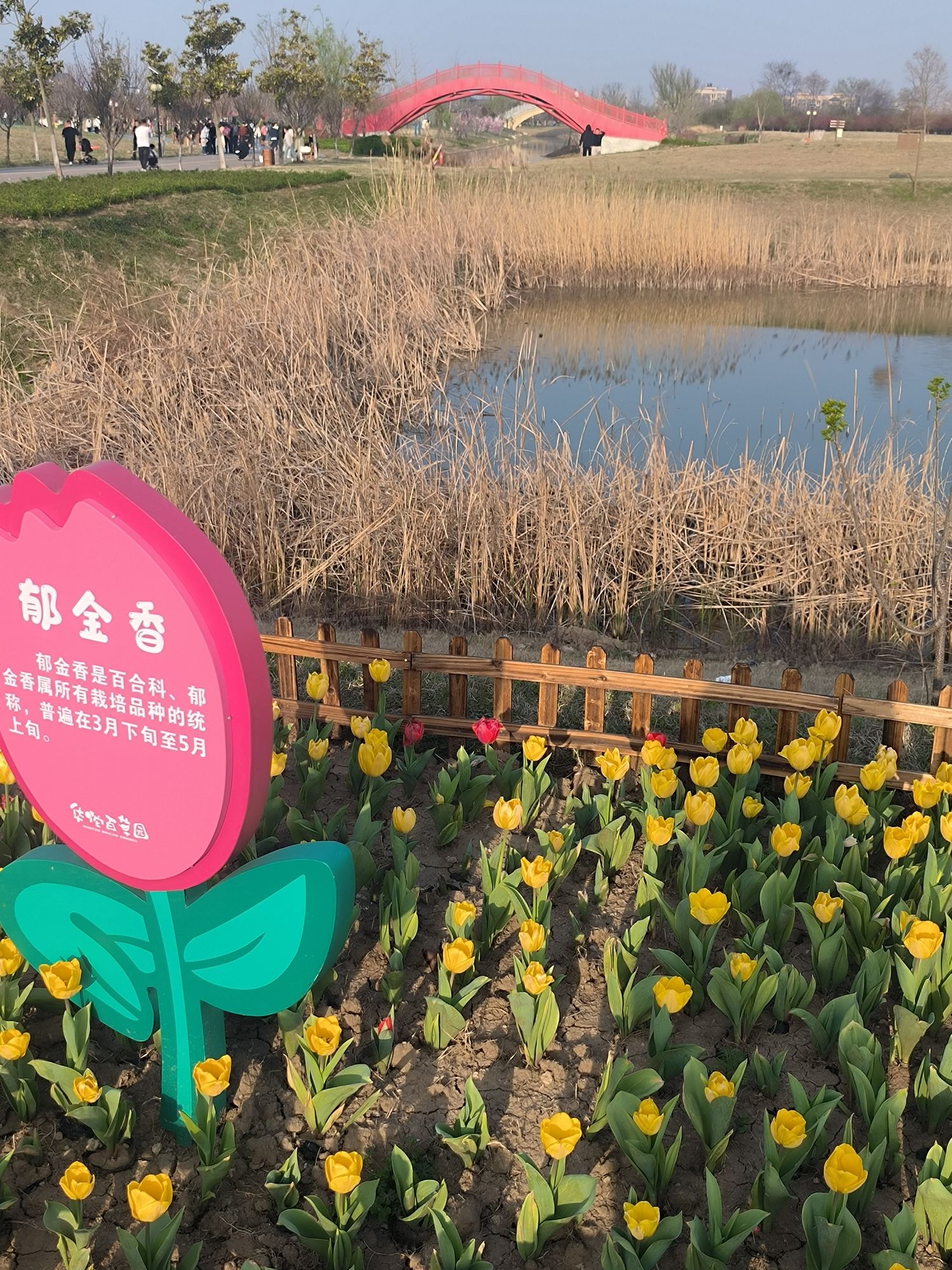 华佗百草园旅行图片 1