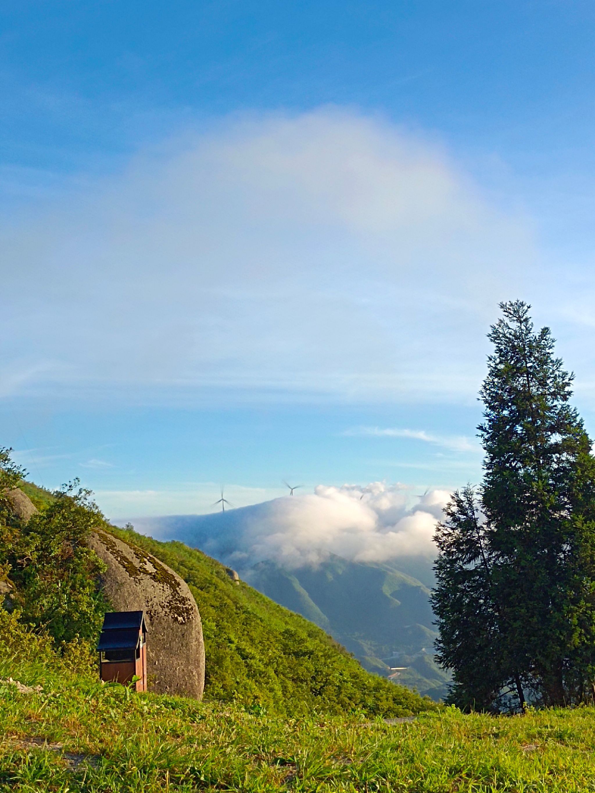 扶苍山旅行图片 2
