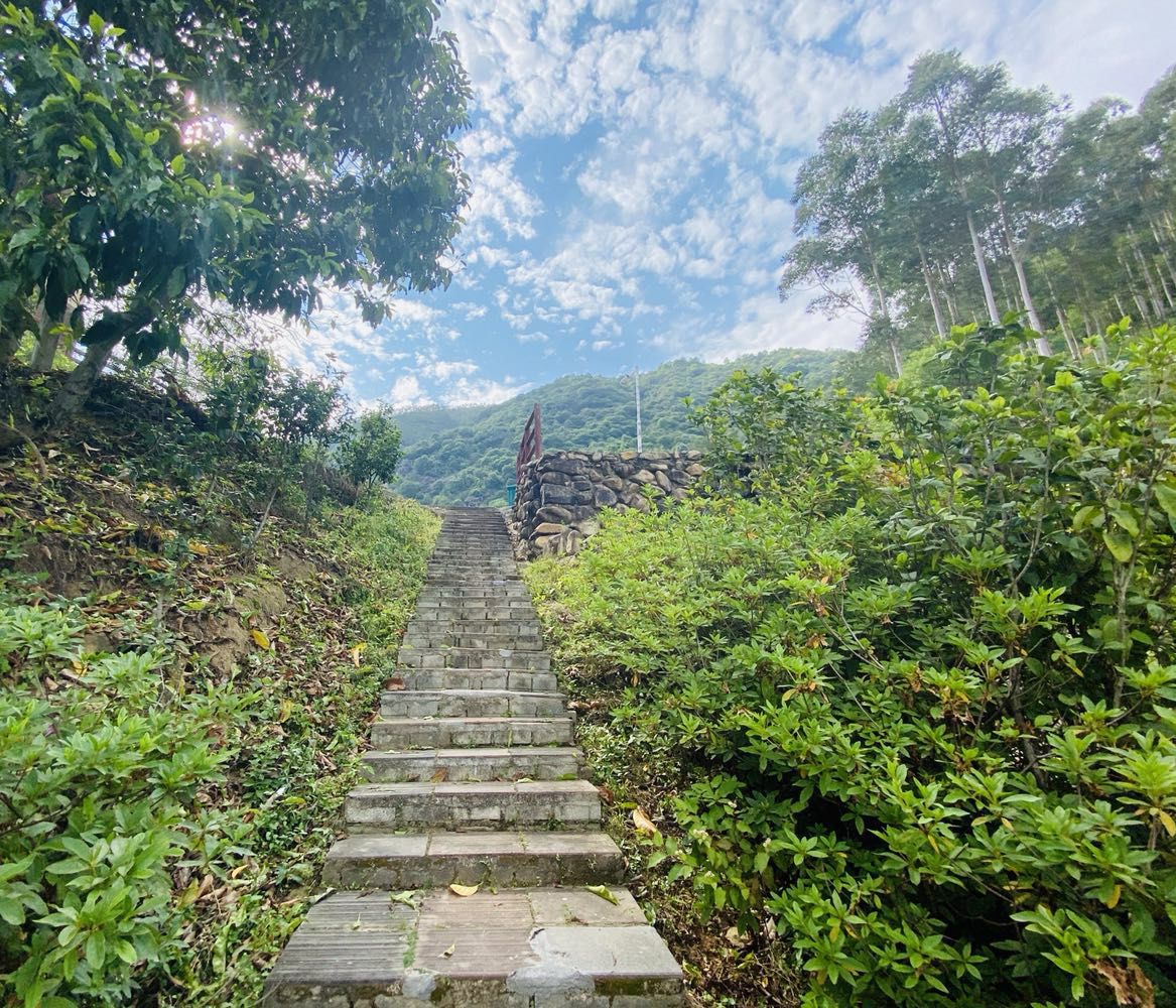 长泰观音山生态旅游景区旅行图片 2