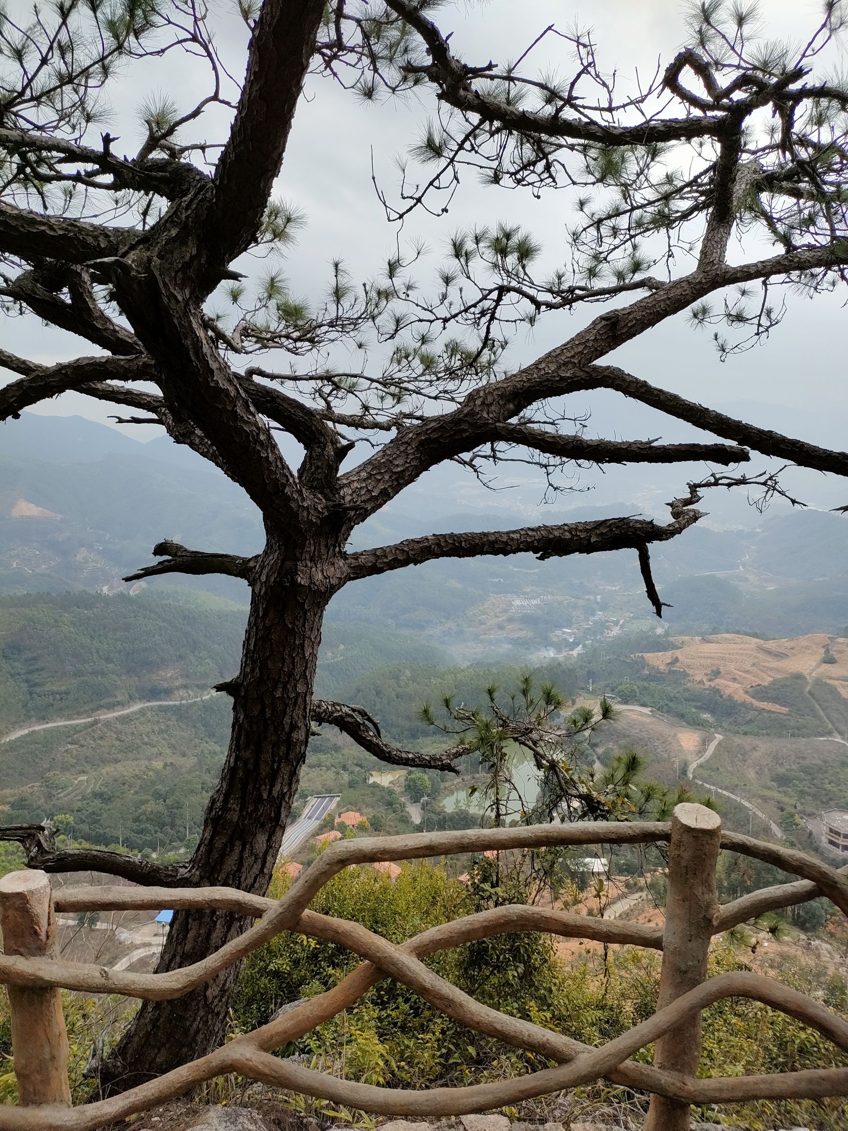 长泰观音山生态旅游景区旅行图片 2