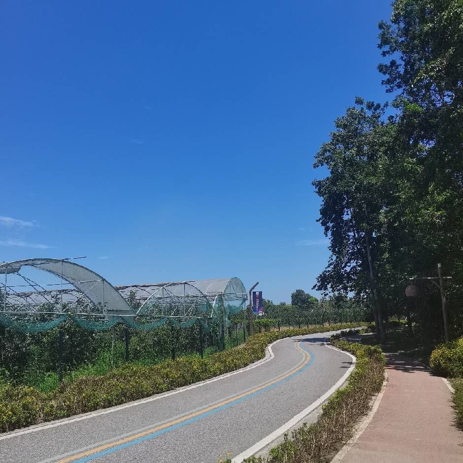 红光印象旅行图片 1