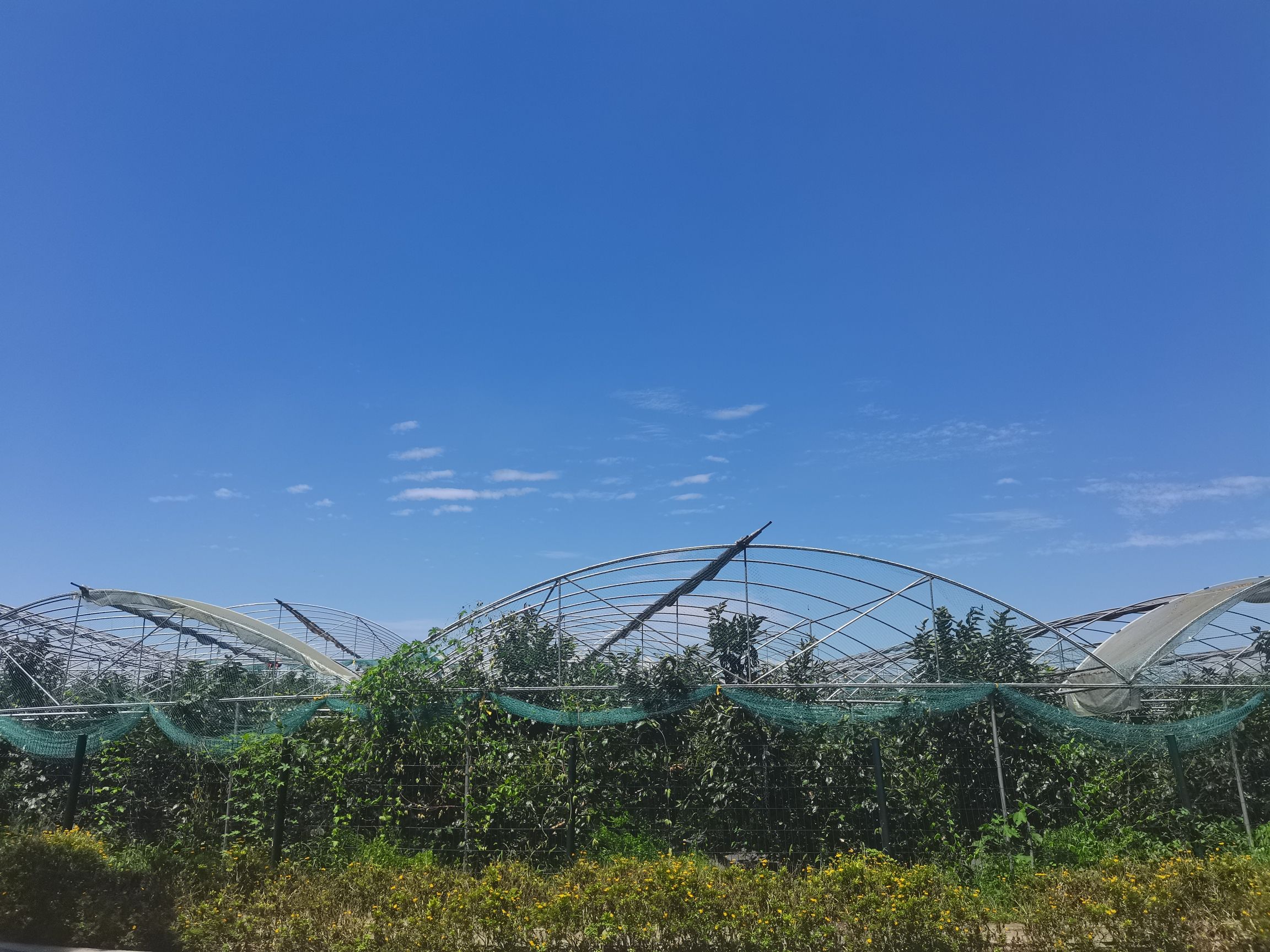 红光印象旅行图片 3