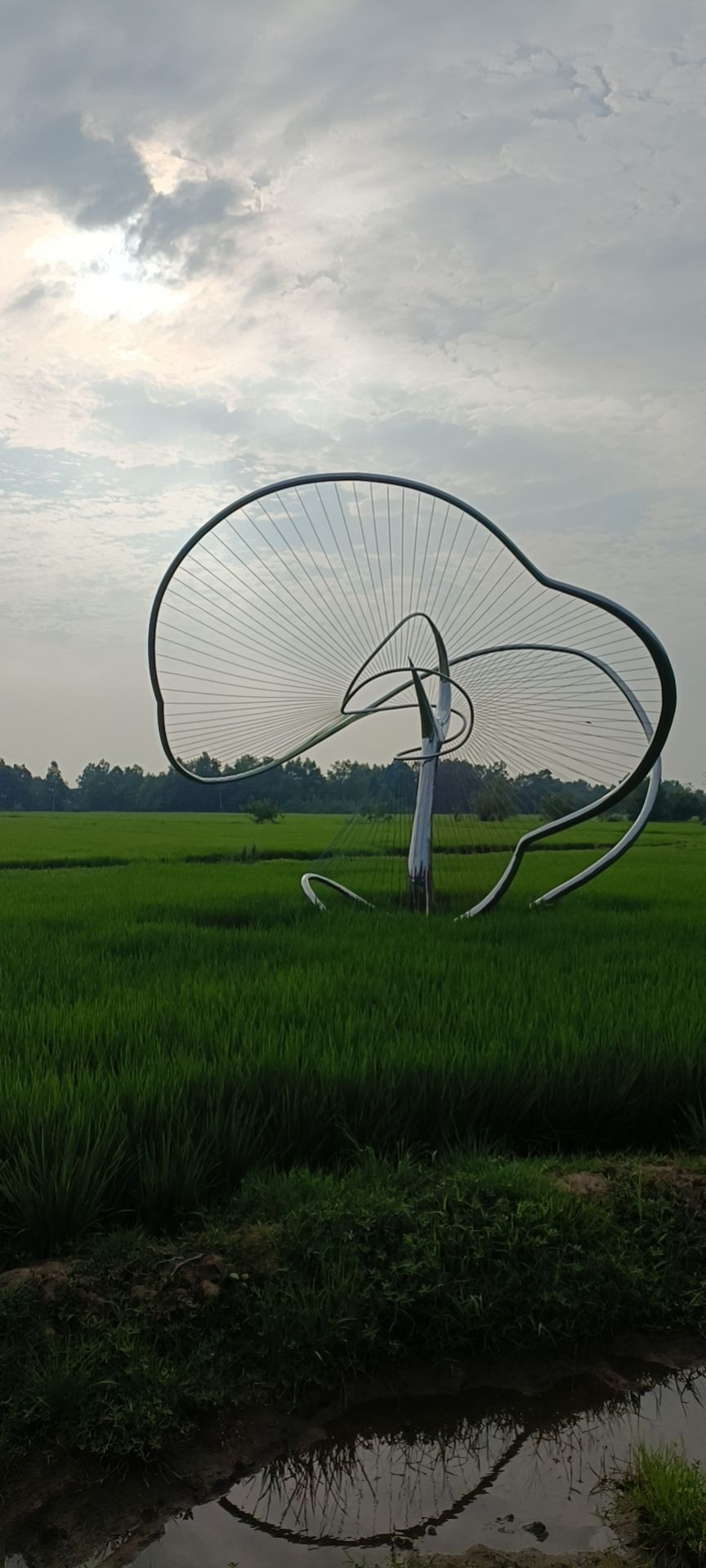 红光印象旅行图片 3