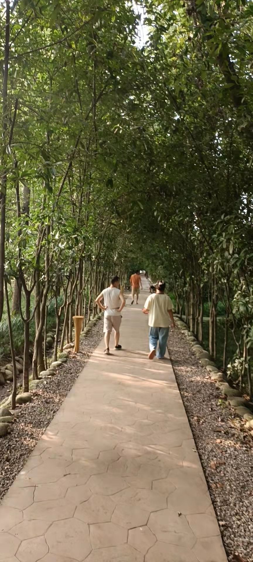 红光印象旅行图片 1