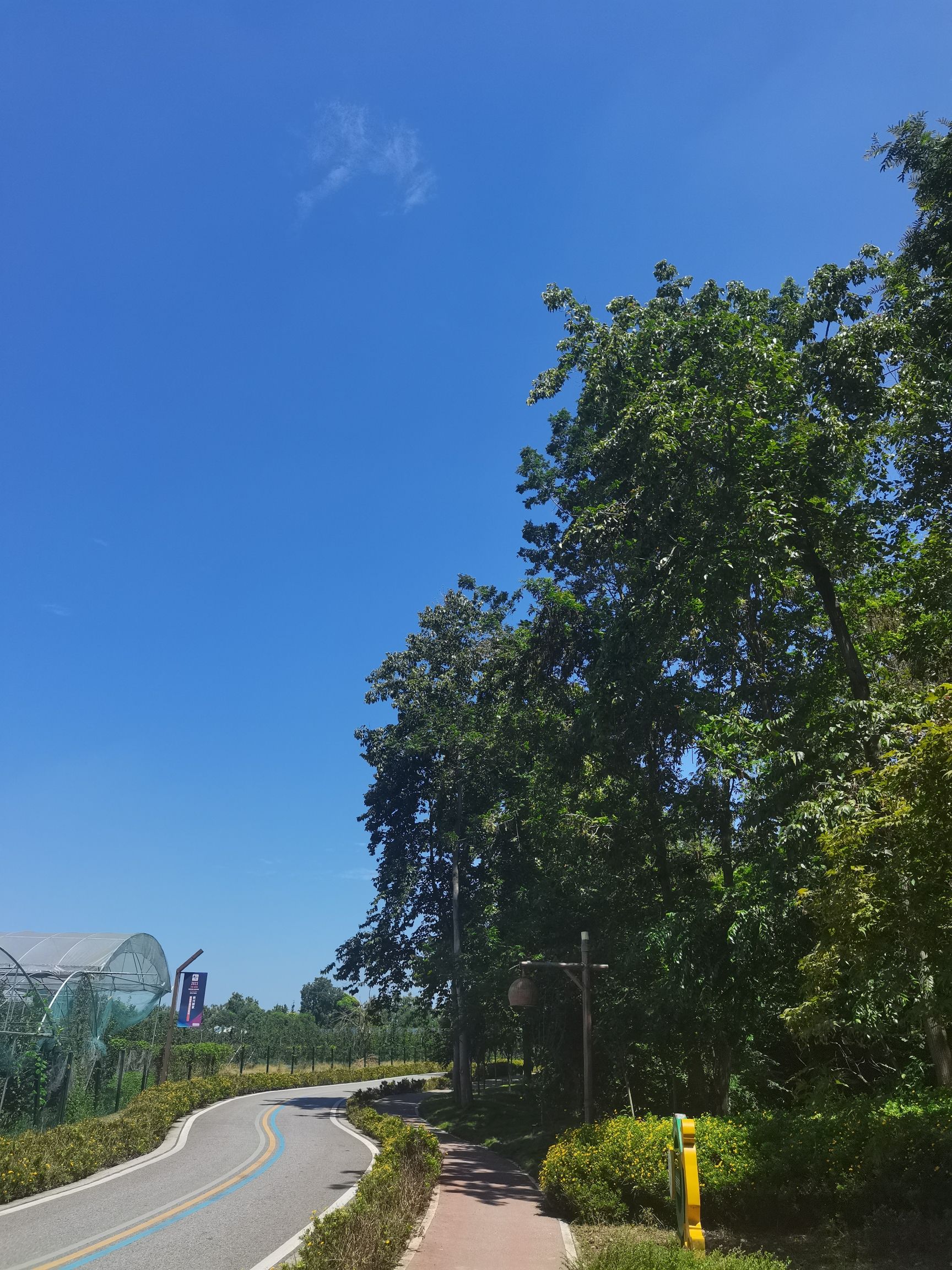 红光印象旅行图片 2