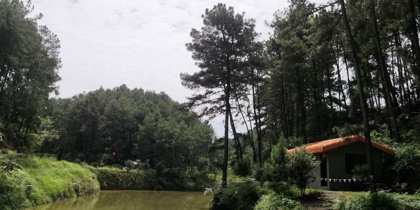 川南穹隆绿岛旅行图片 1