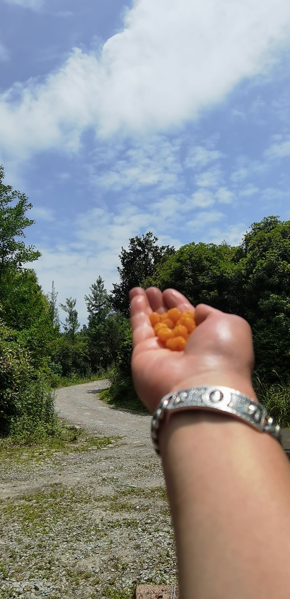 川南穹隆绿岛旅行图片 2