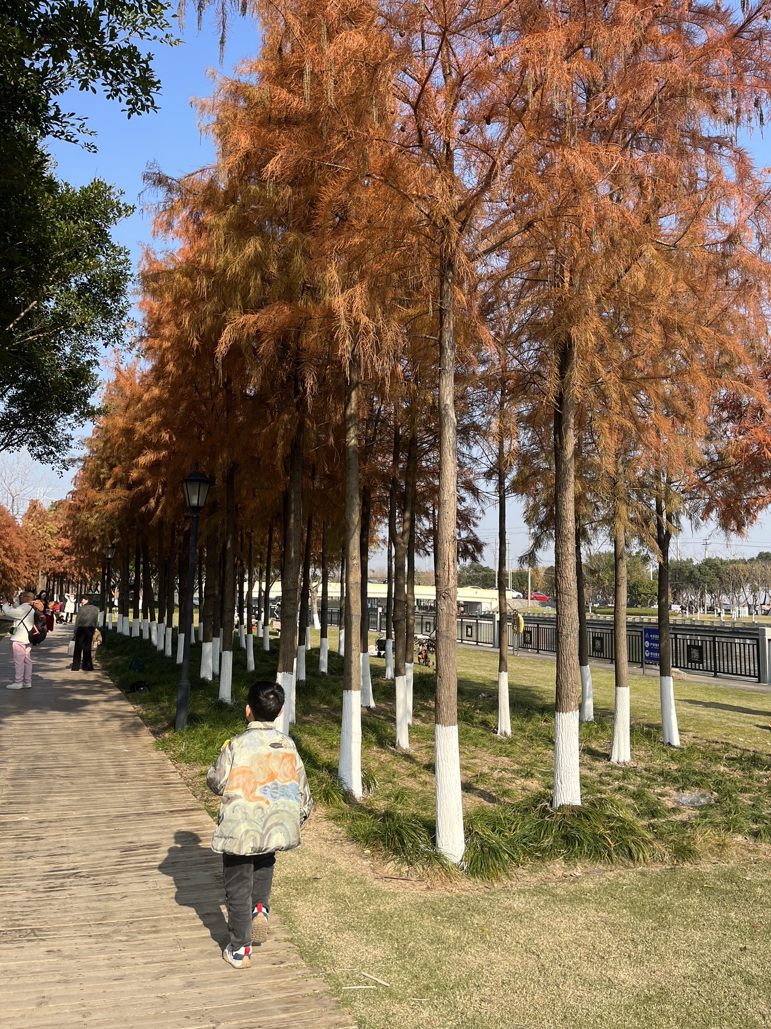 中塘河公园旅行图片 2
