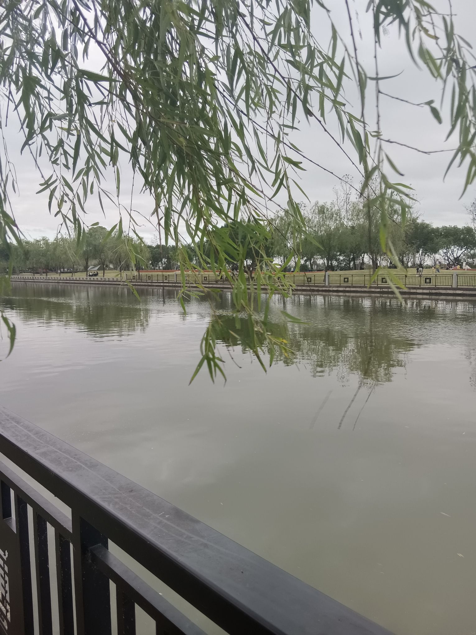 中塘河公园旅行图片 1