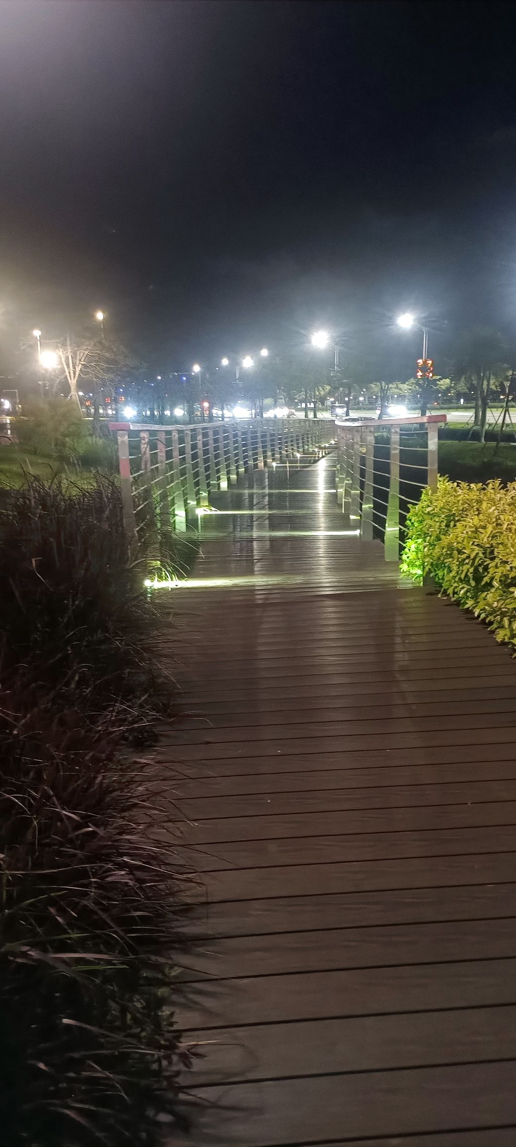 堤顶休闲广场旅行图片 1