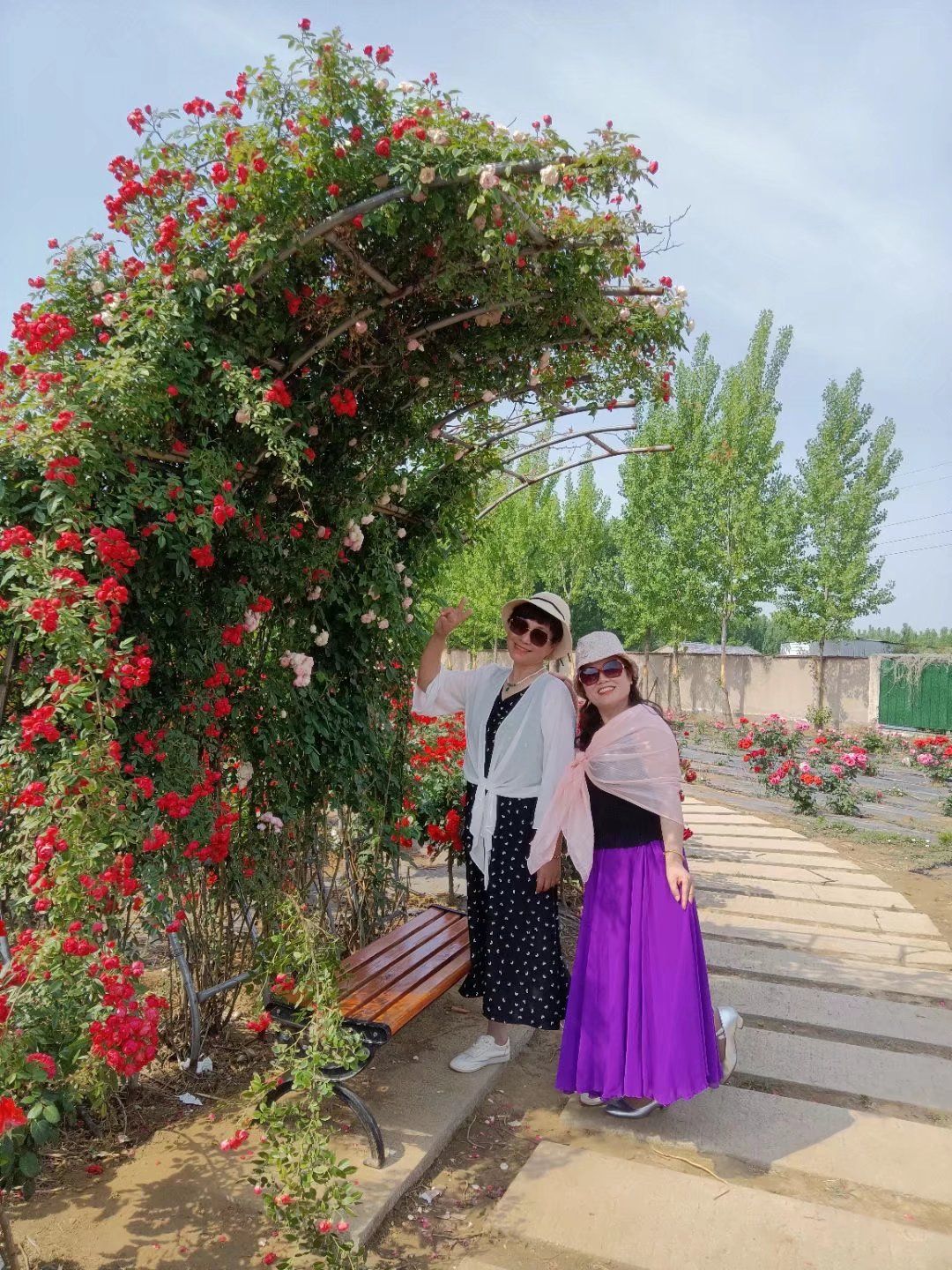 玫遇玫瑰花园旅行图片 2