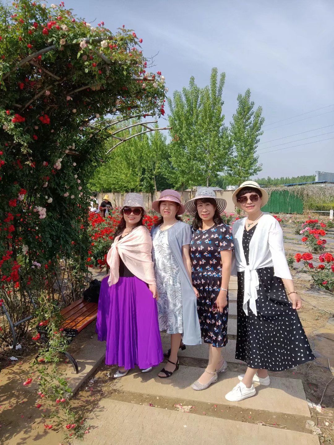 玫遇玫瑰花园旅行图片 3