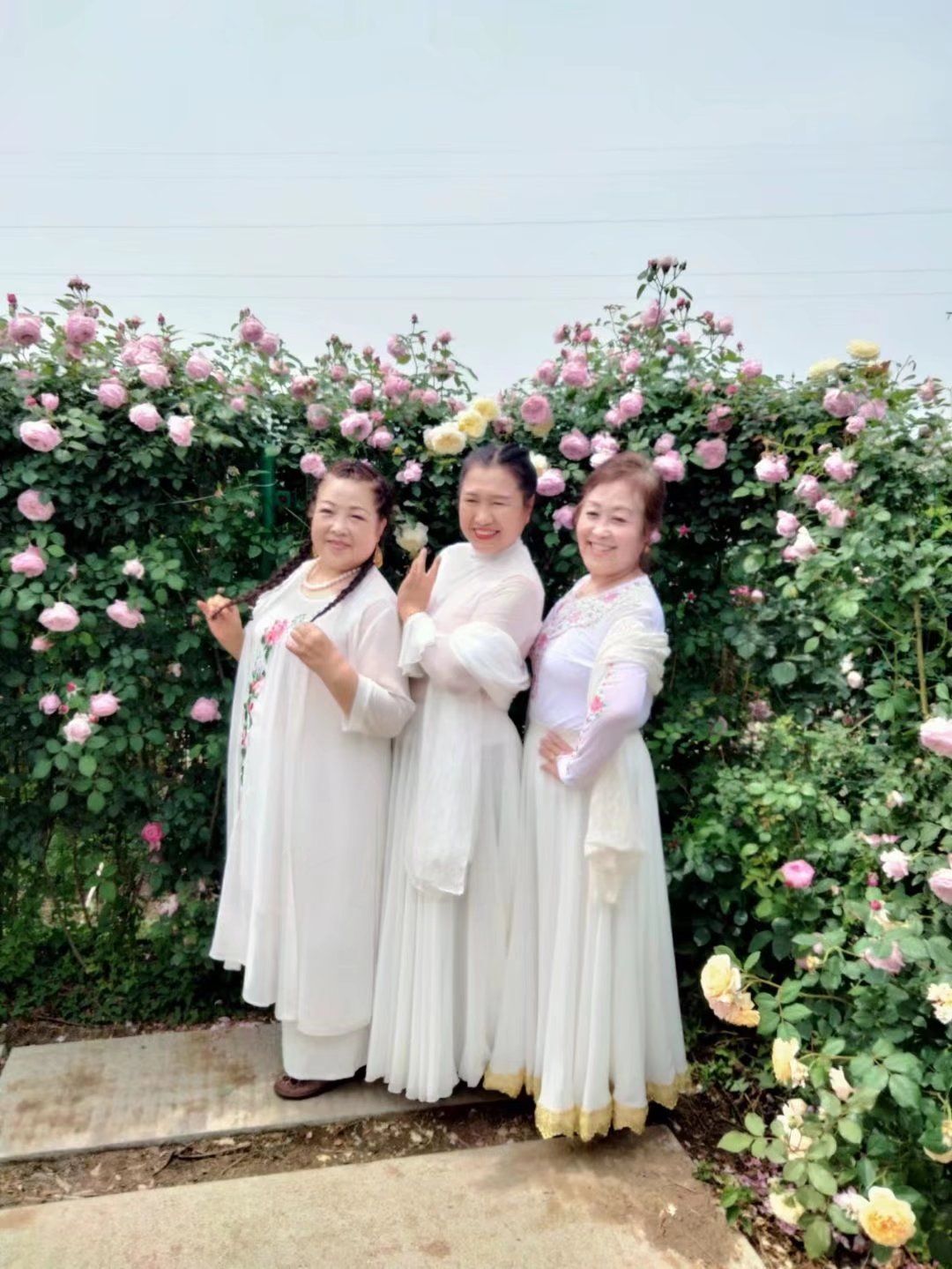 玫遇玫瑰花园旅行图片 1