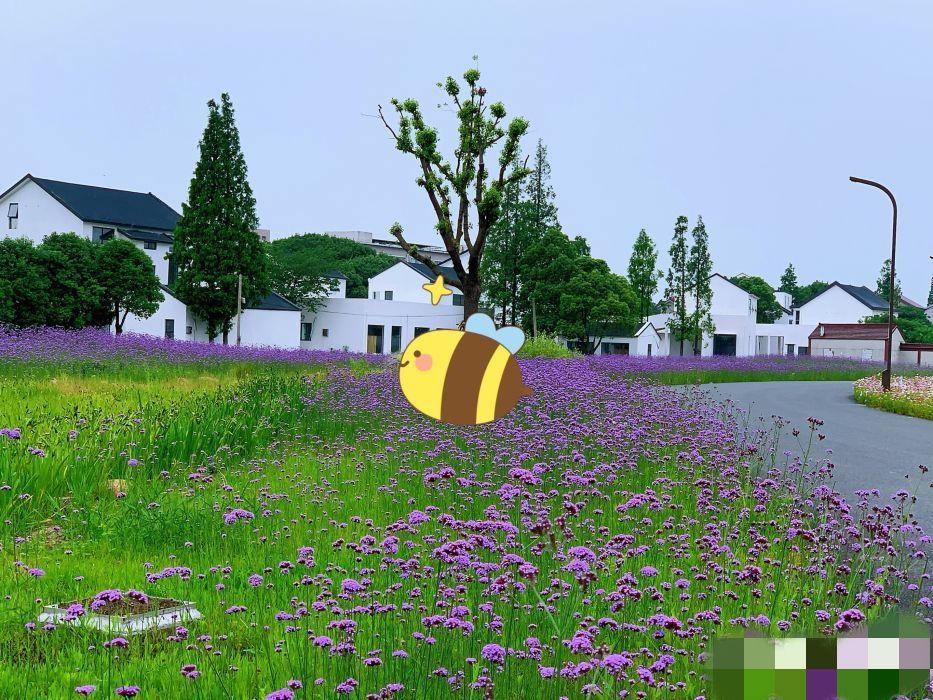 大龙荡旅行图片 2