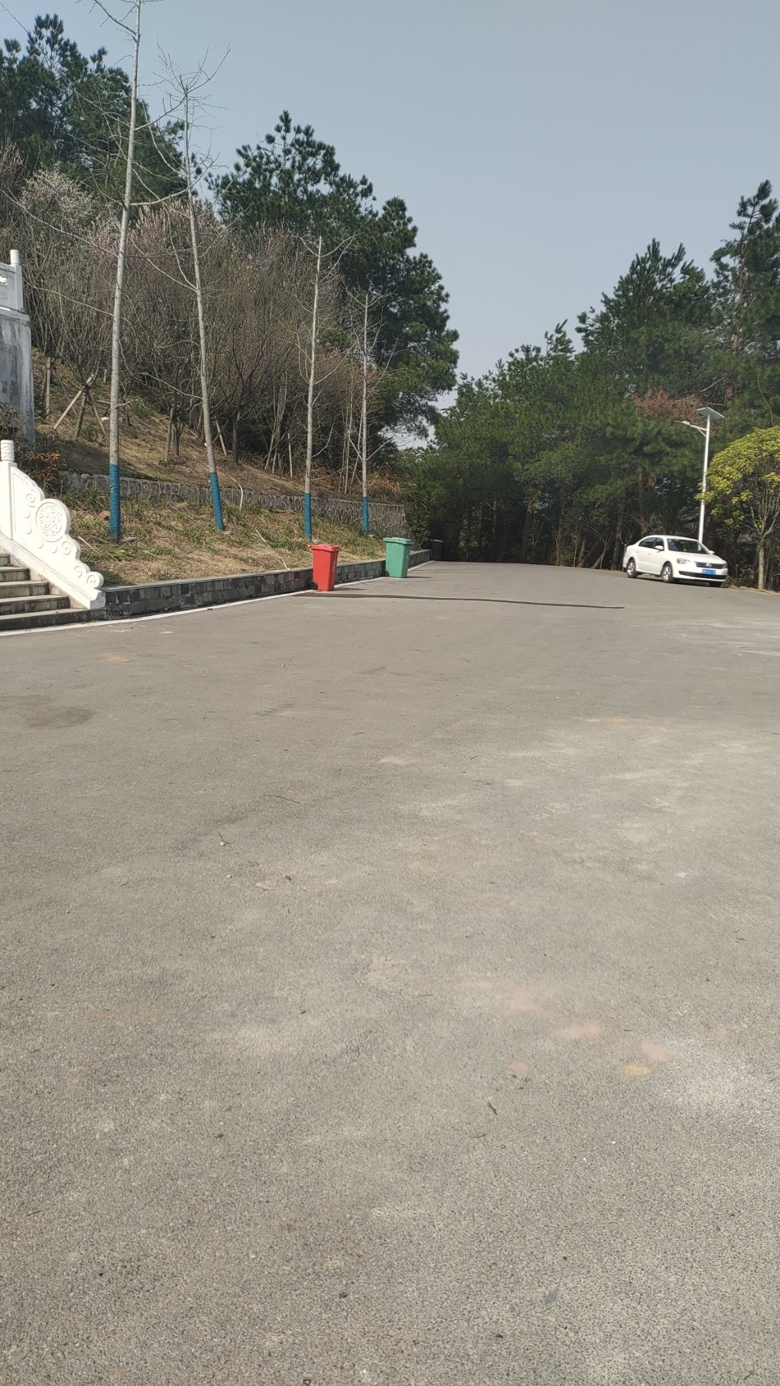 锦岩塔公园旅行图片 3