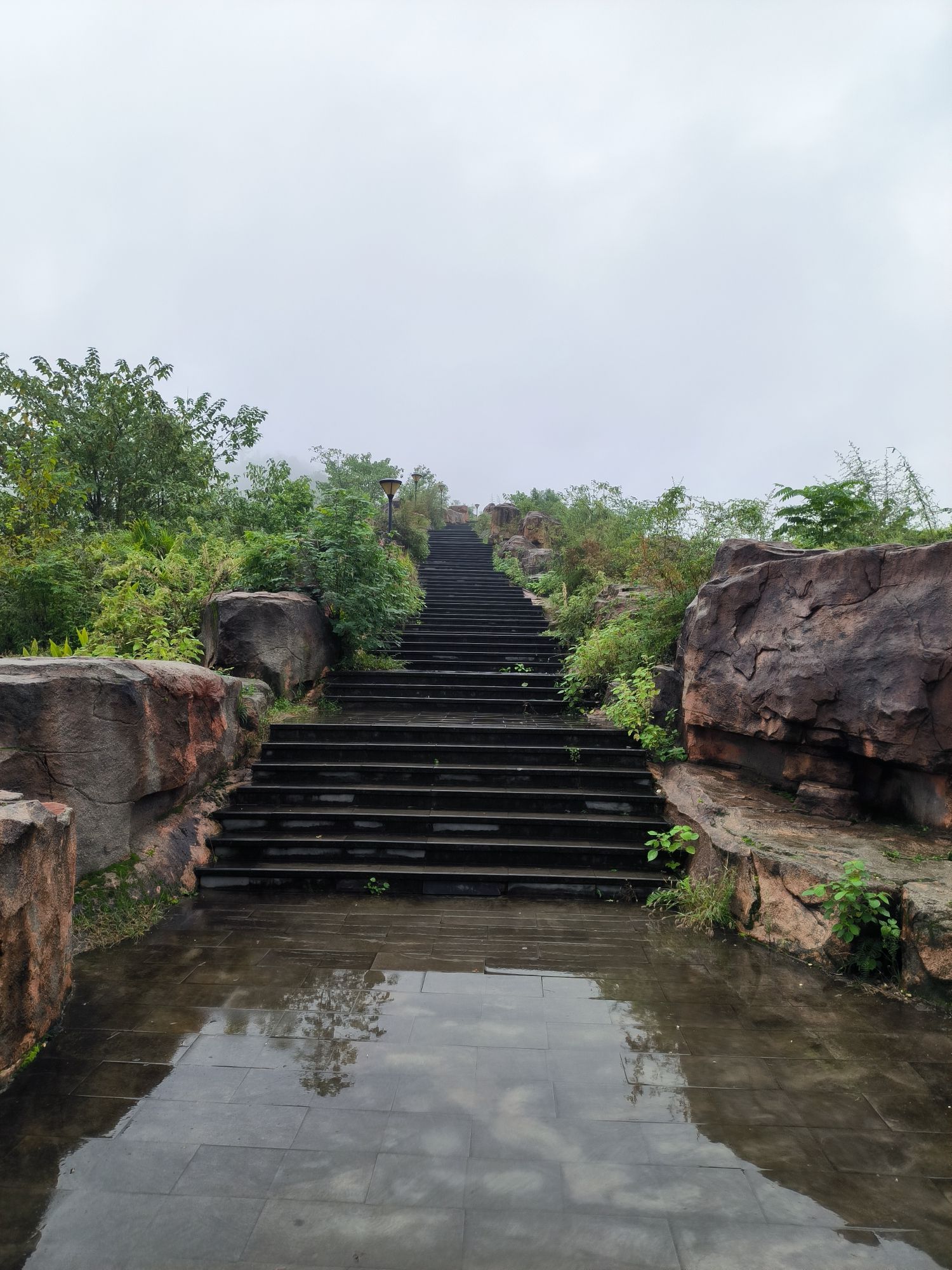牛山寺公园旅行图片 3
